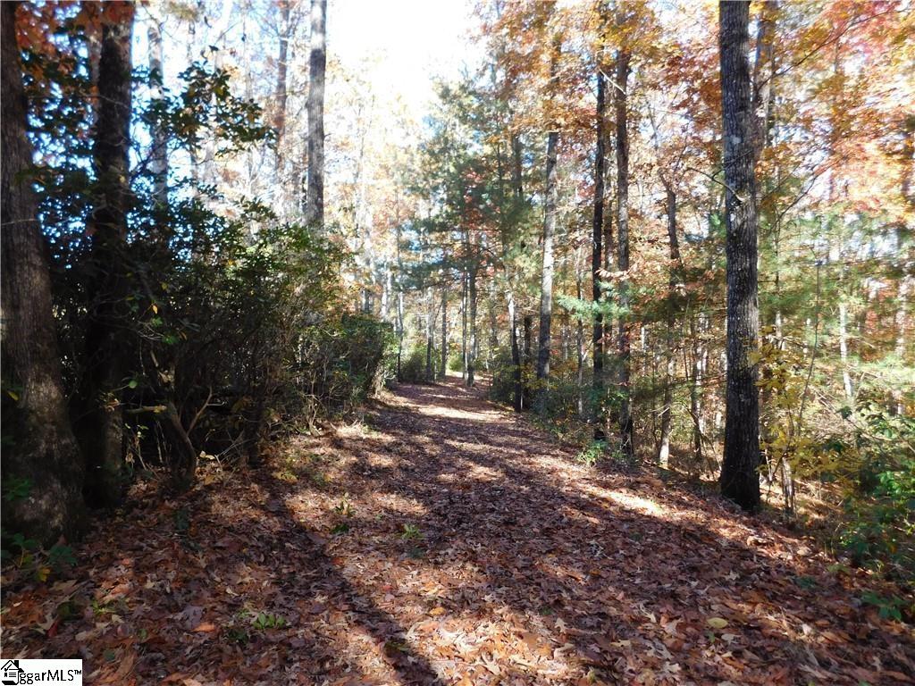130 Cliffs Falls Parkway Property Photo 11