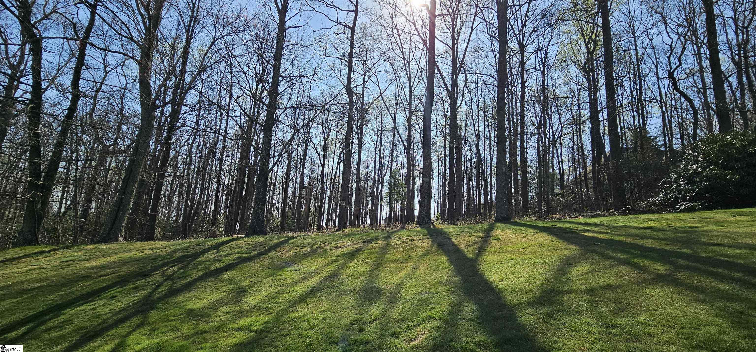 66 The Cliffs Parkway Property Photo 3
