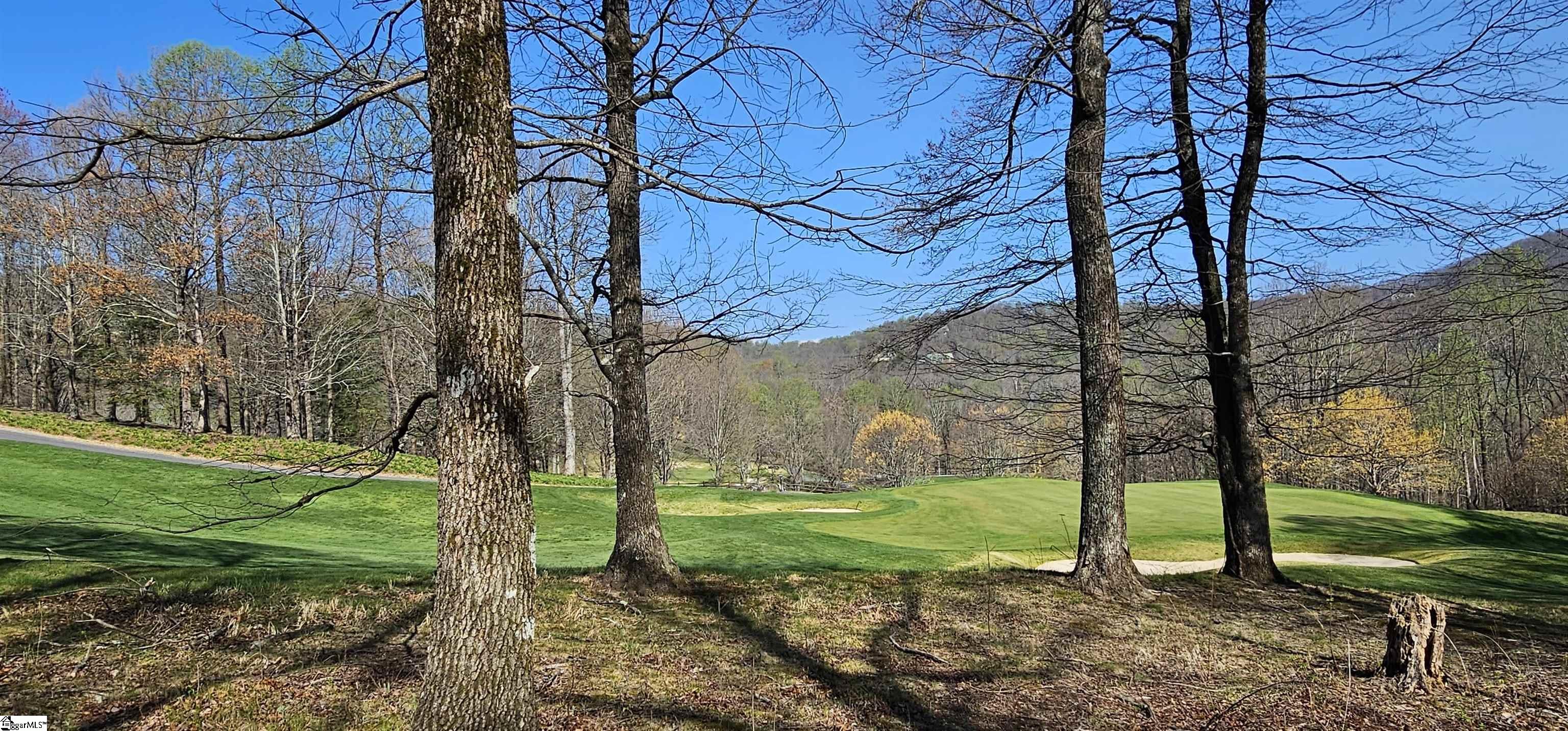 66 The Cliffs Parkway Property Photo 4