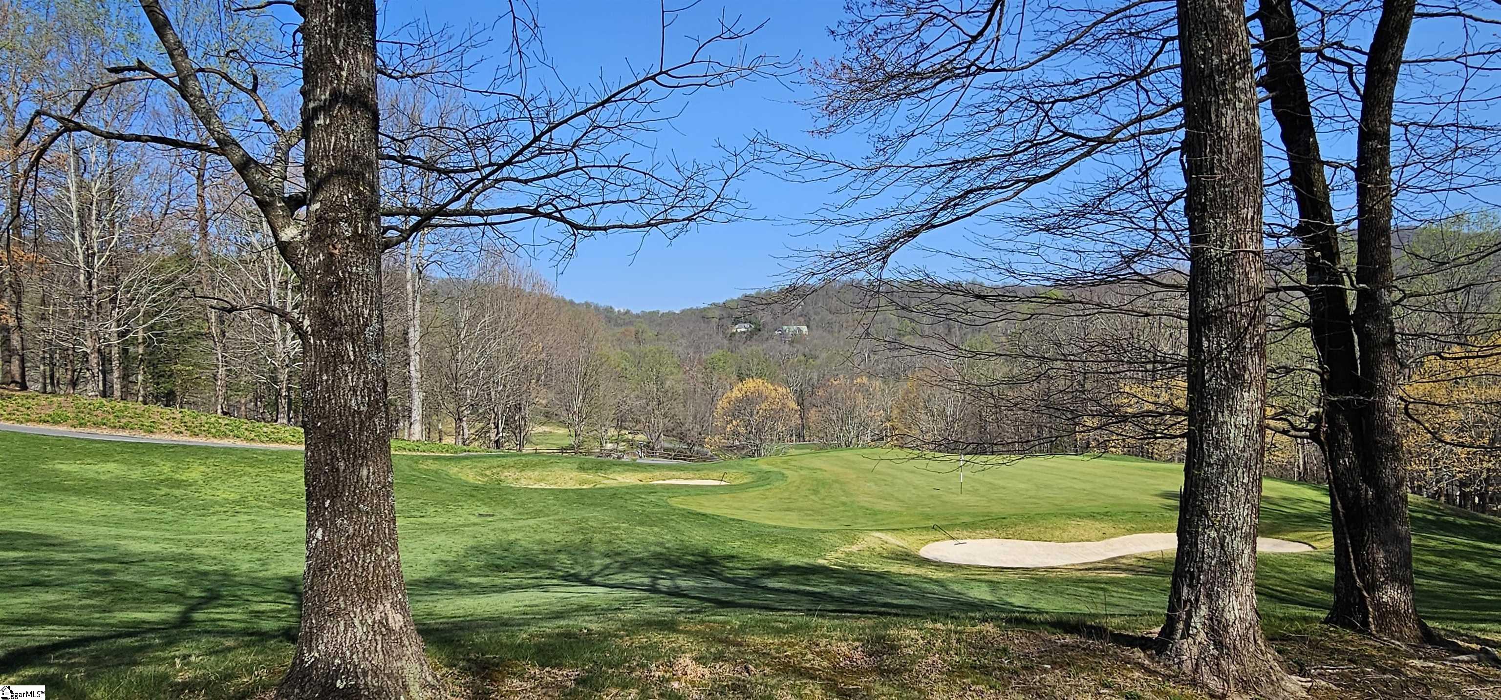 66 The Cliffs Parkway Property Photo 5