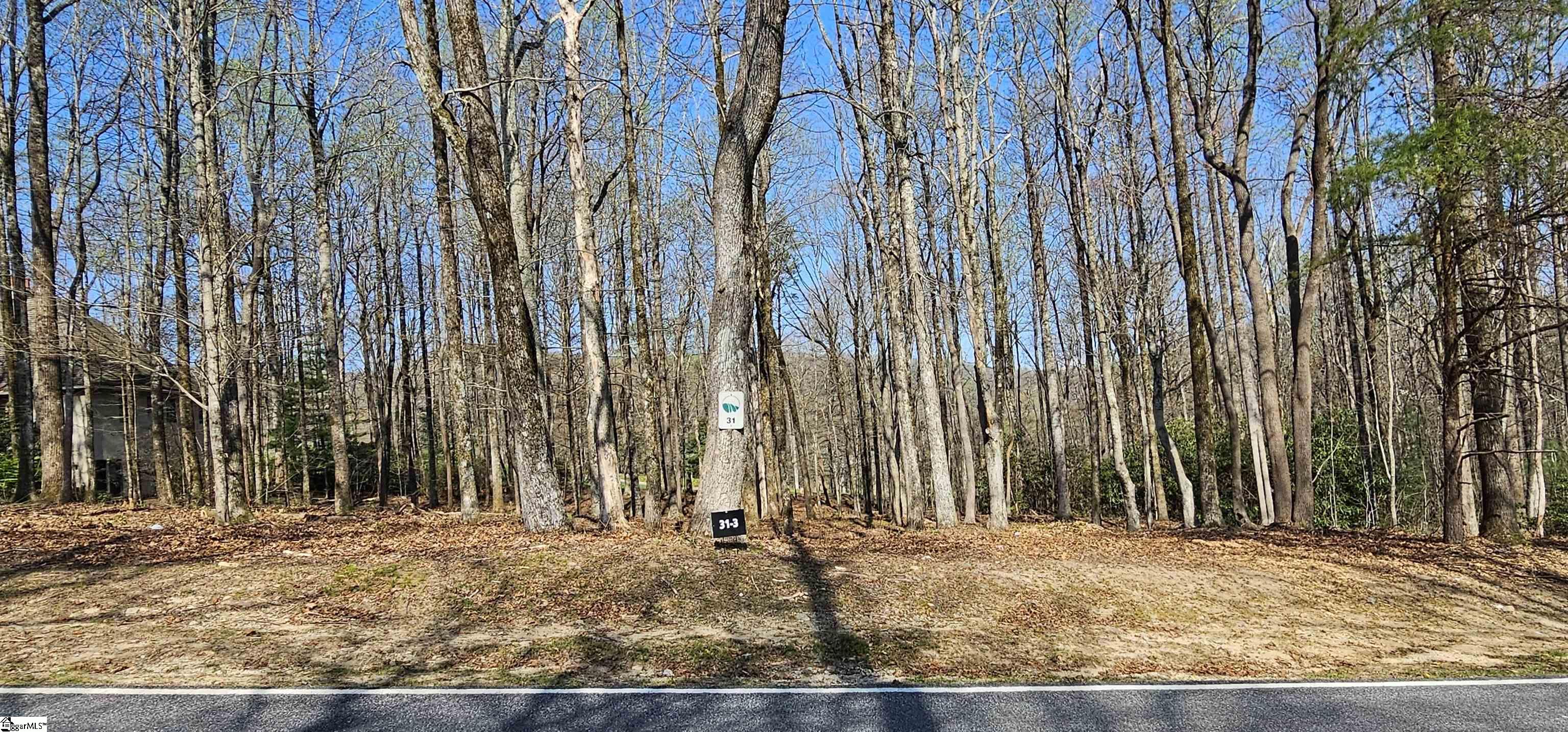 66 The Cliffs Parkway Property Photo 10