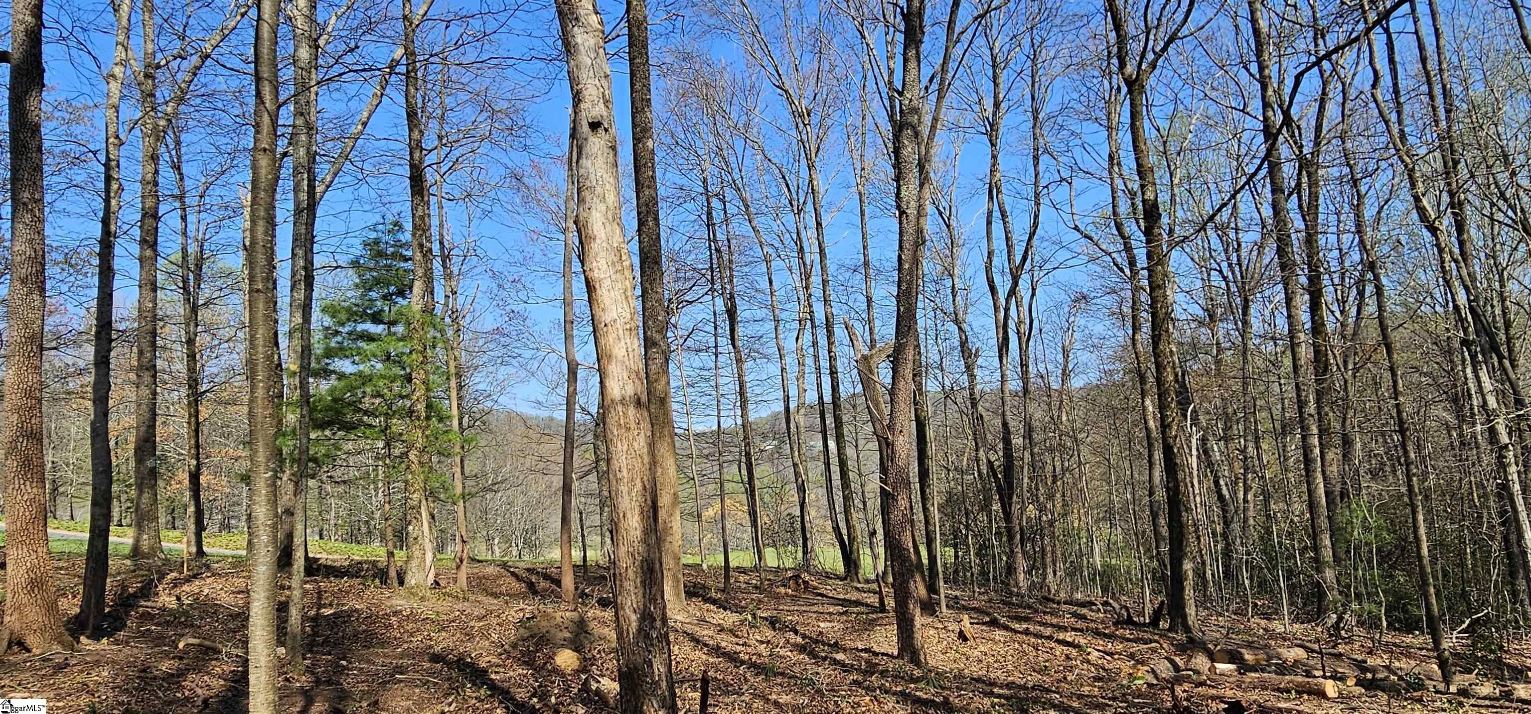 66 The Cliffs Parkway Property Photo 11