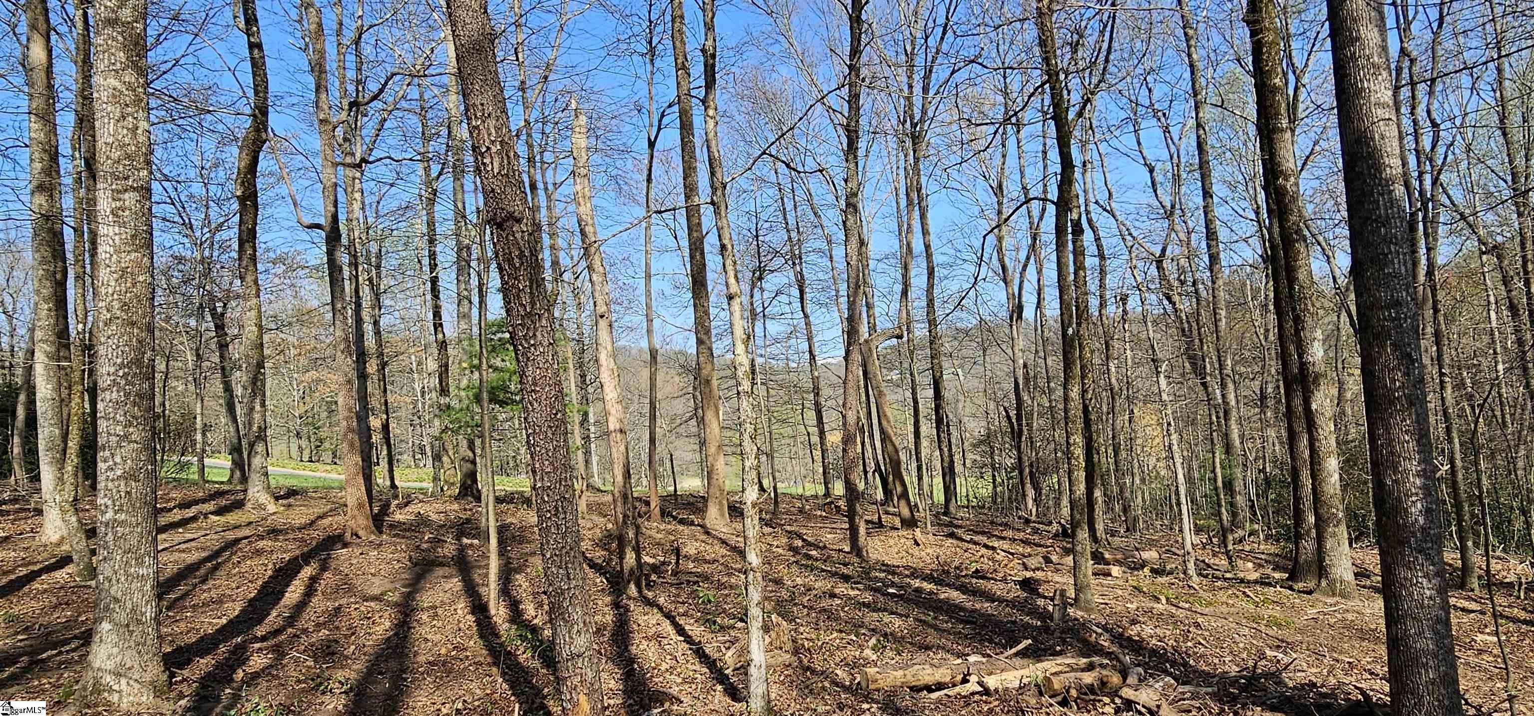 66 The Cliffs Parkway Property Photo 12