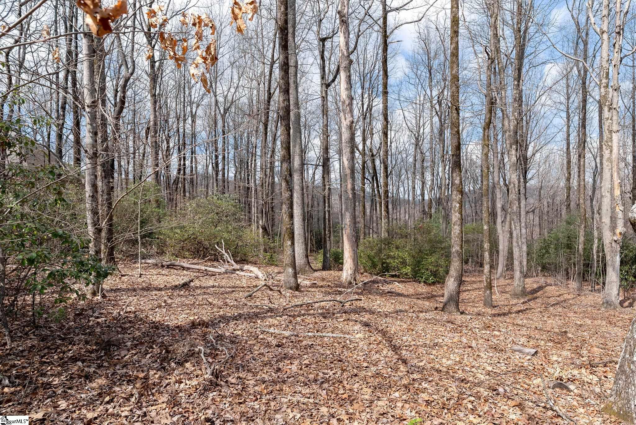 66 The Cliffs Parkway Property Photo 13