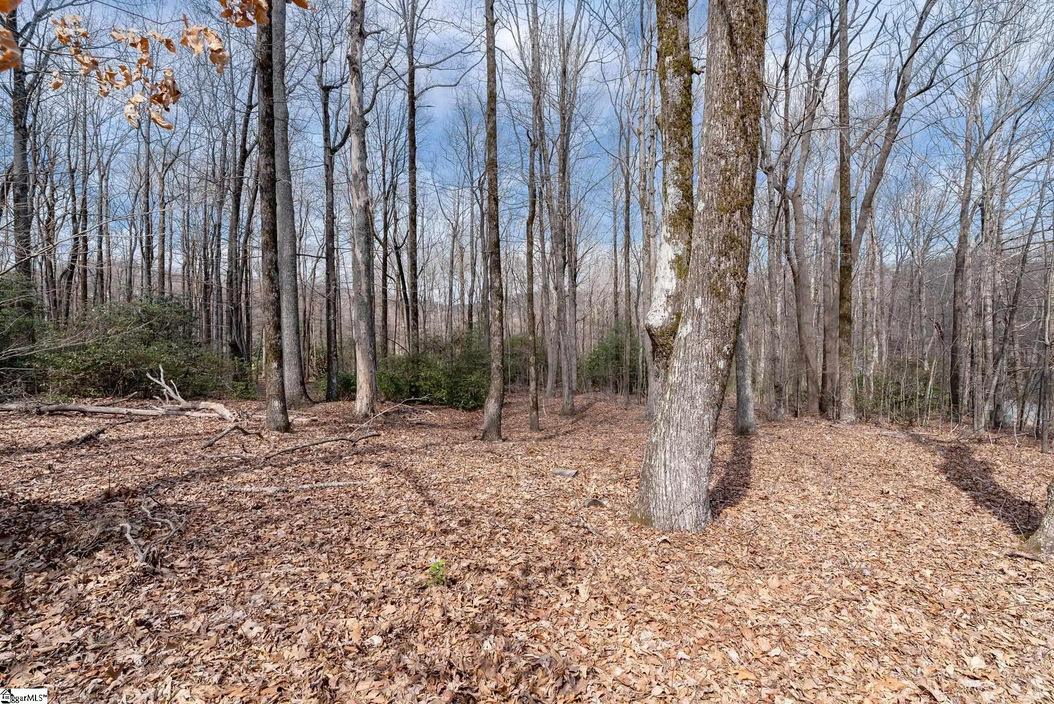 66 The Cliffs Parkway Property Photo 14