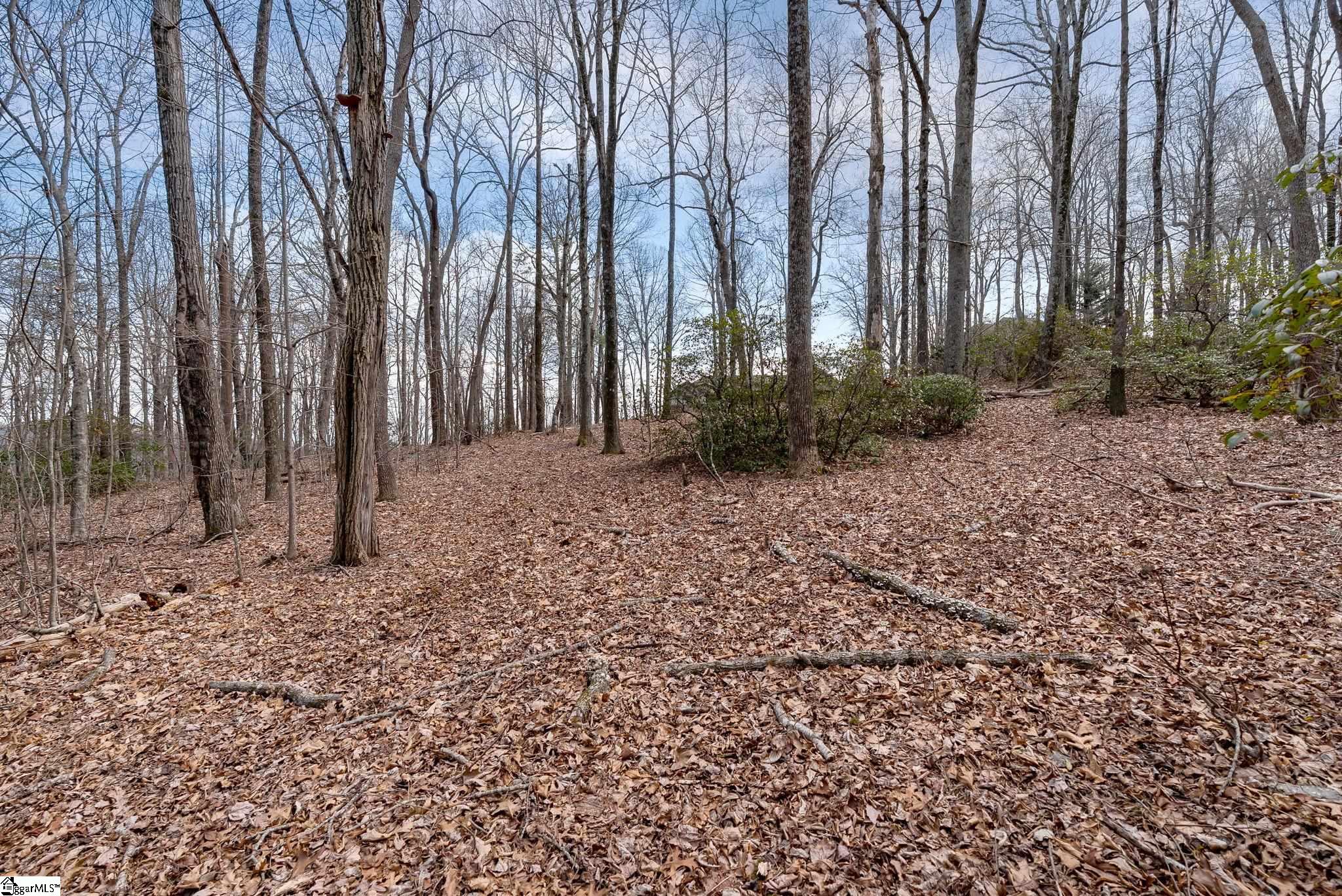 66 The Cliffs Parkway Property Photo 15