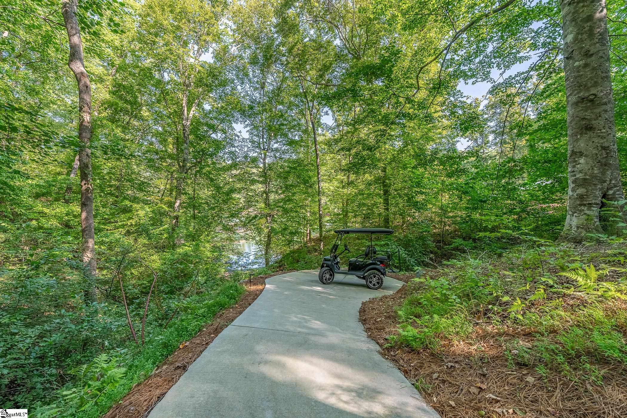 248 Piney Woods Trail Property Photo 42