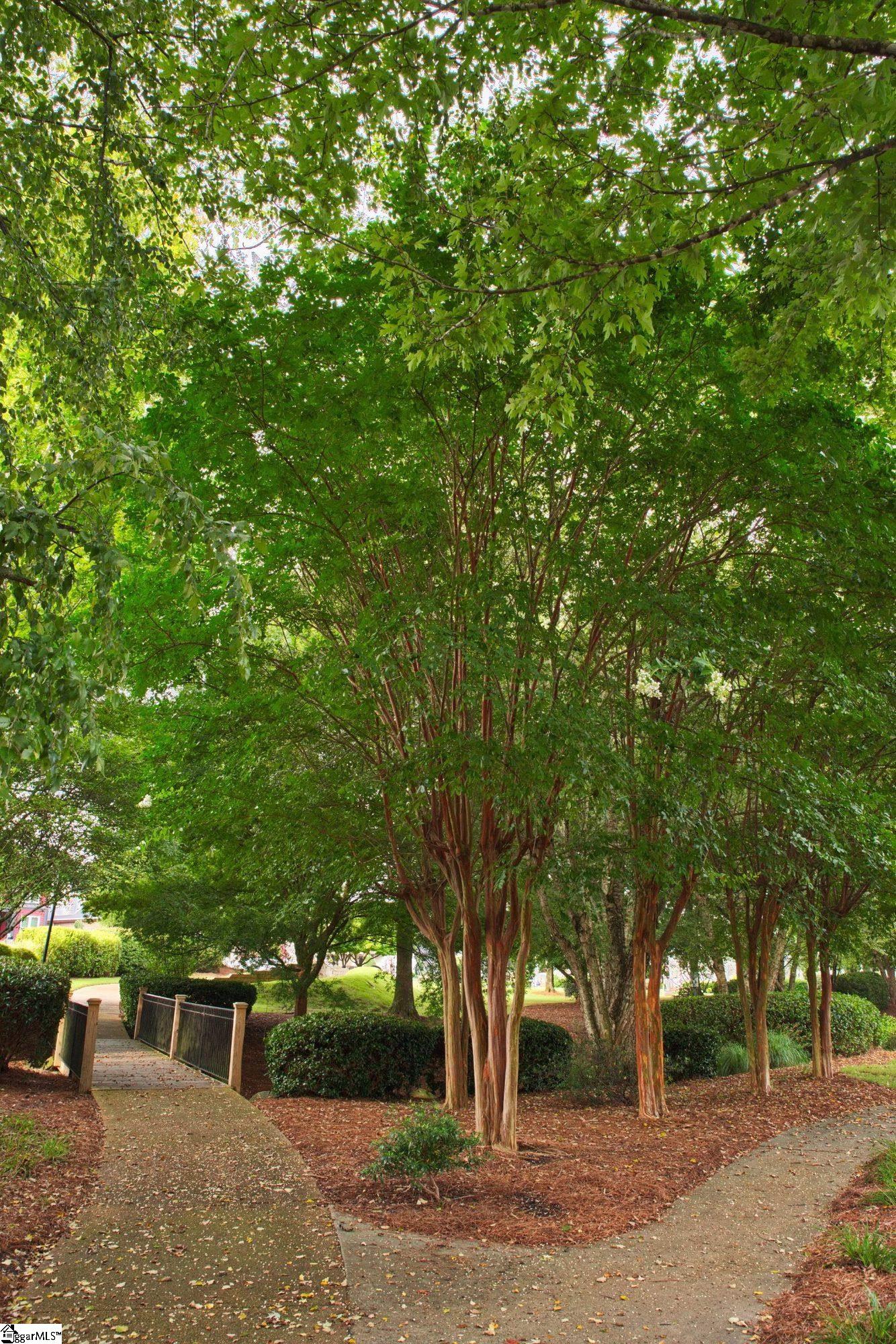109 Martele Court Property Photo 45