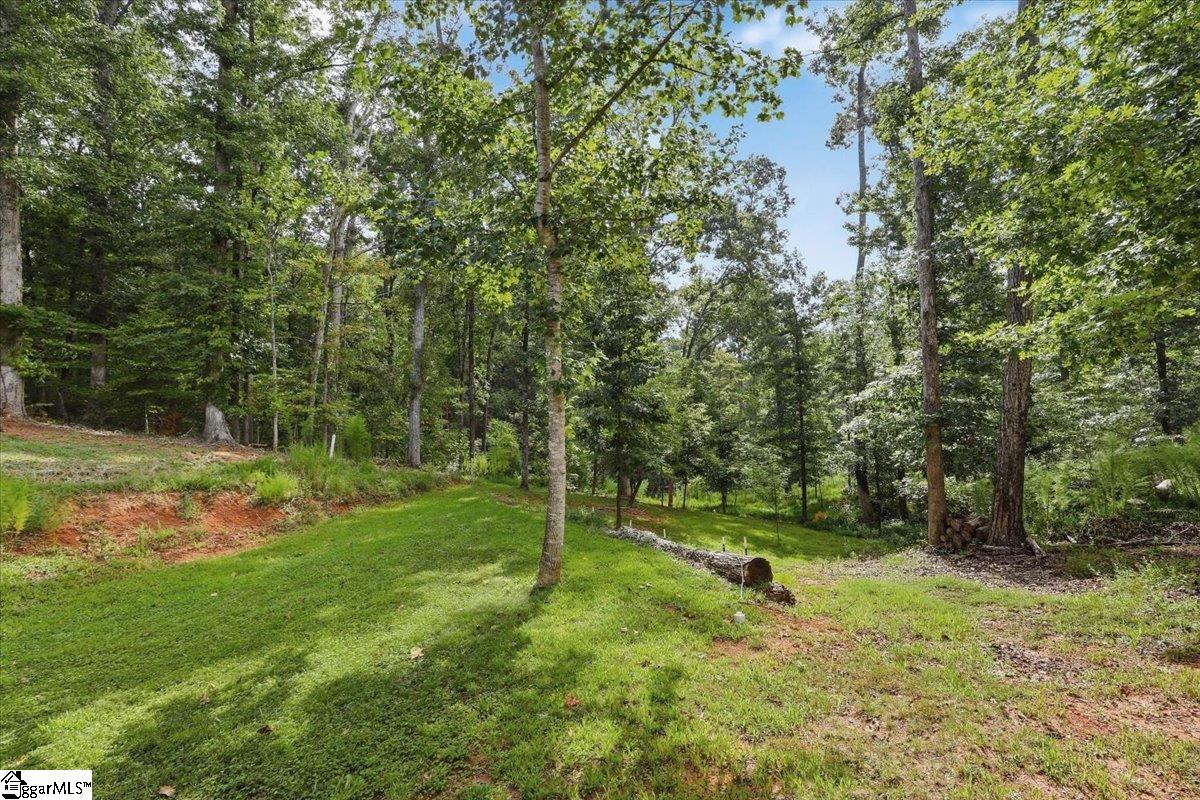 1601 E Saluda Lake Road Property Photo 28