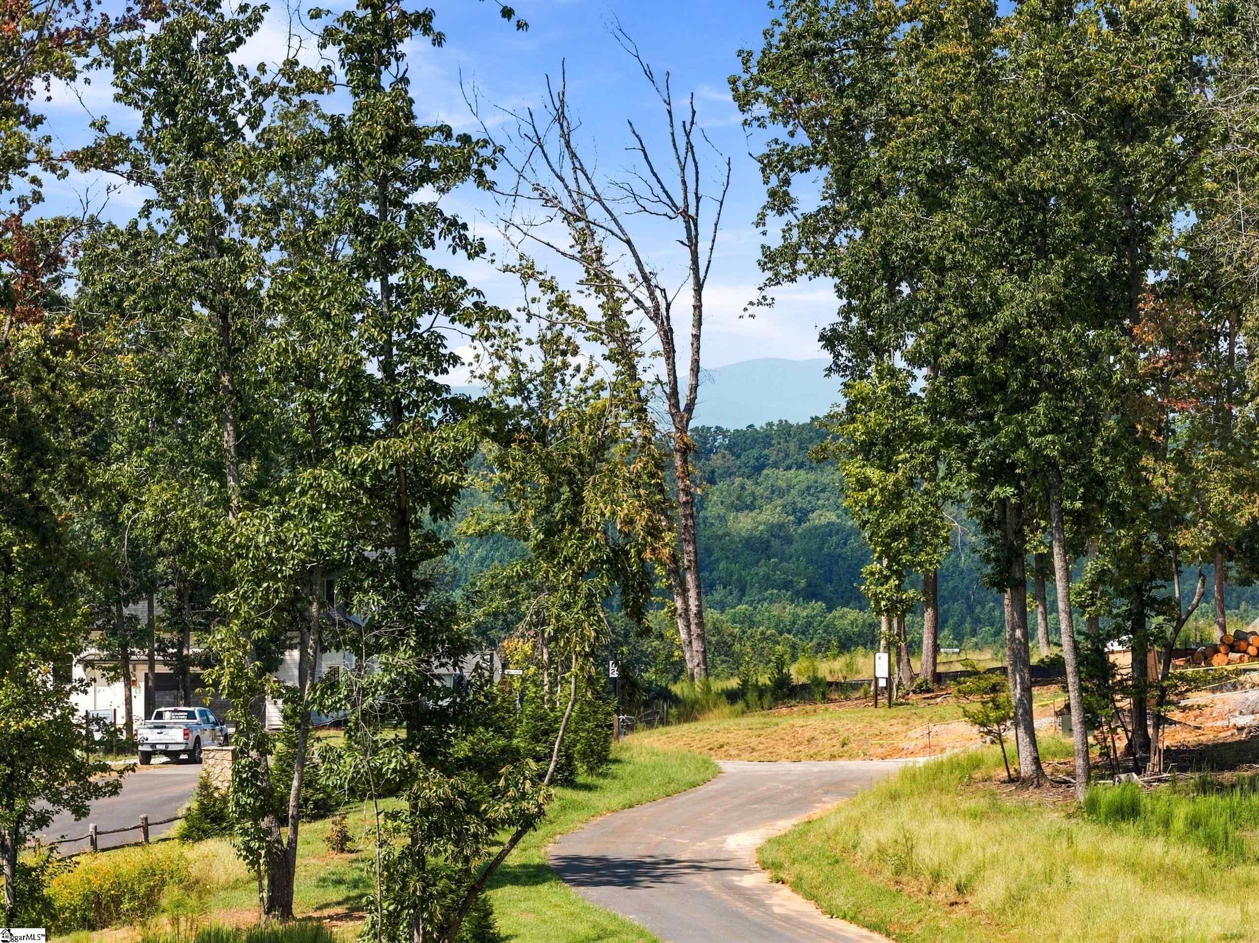 104 Waterfall Overlook Way Property Photo 3