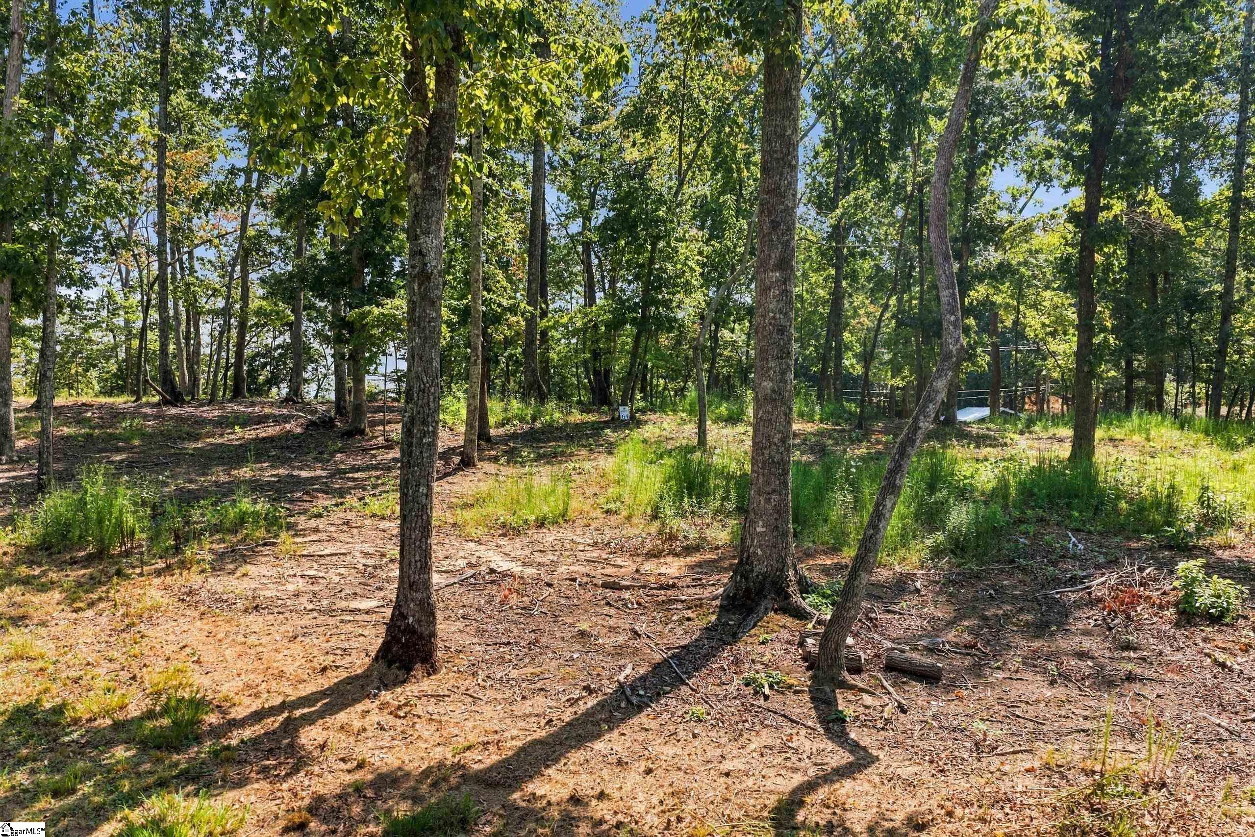 104 Waterfall Overlook Way Property Photo 4