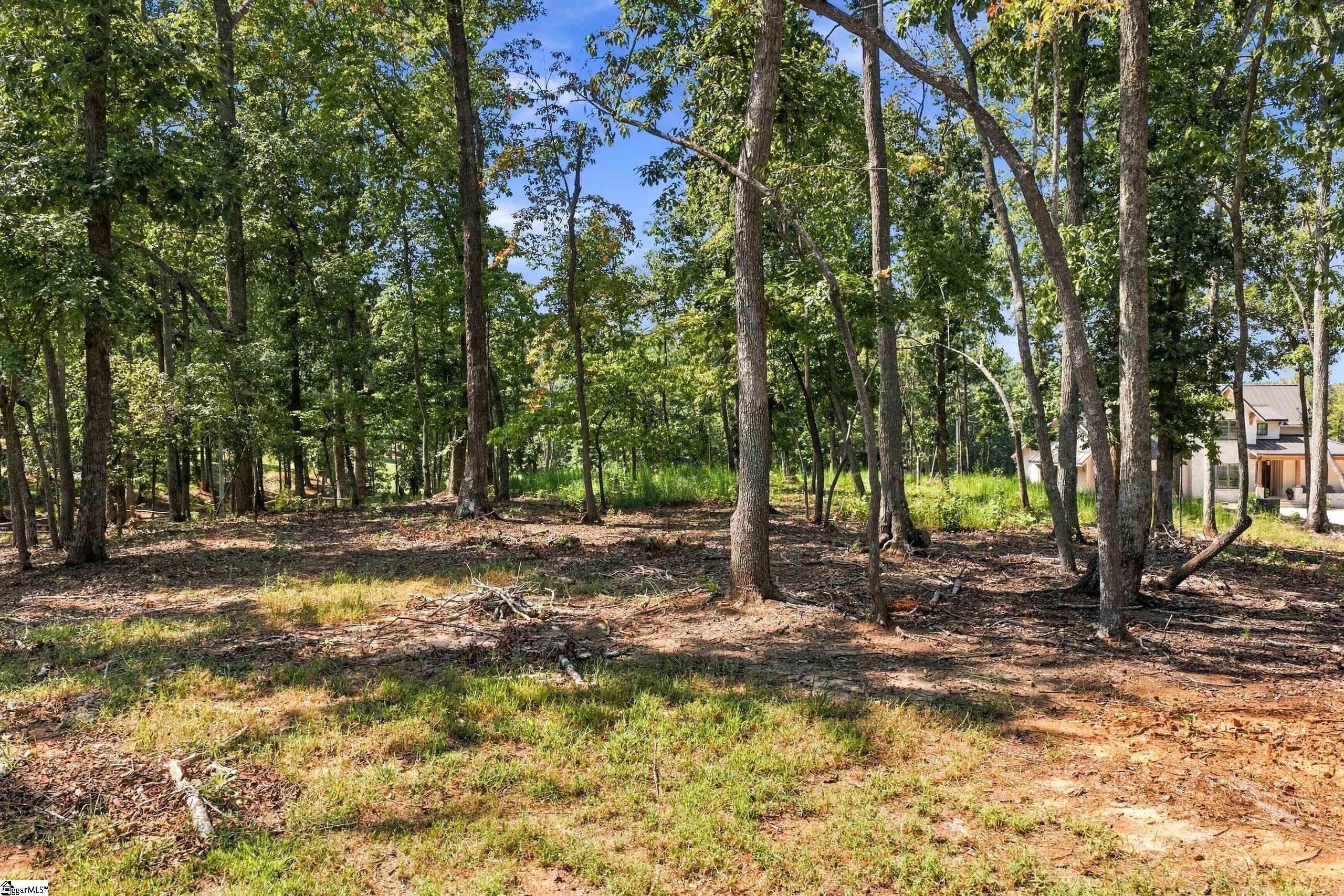 104 Waterfall Overlook Way Property Photo 9
