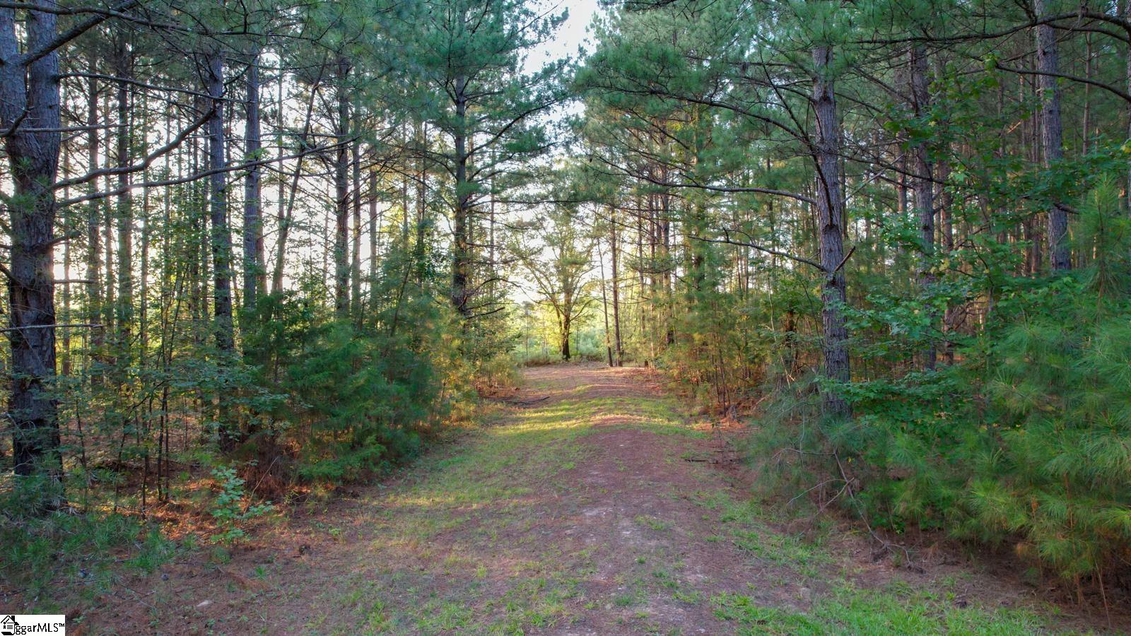 200 Lowe Lane Property Photo 43