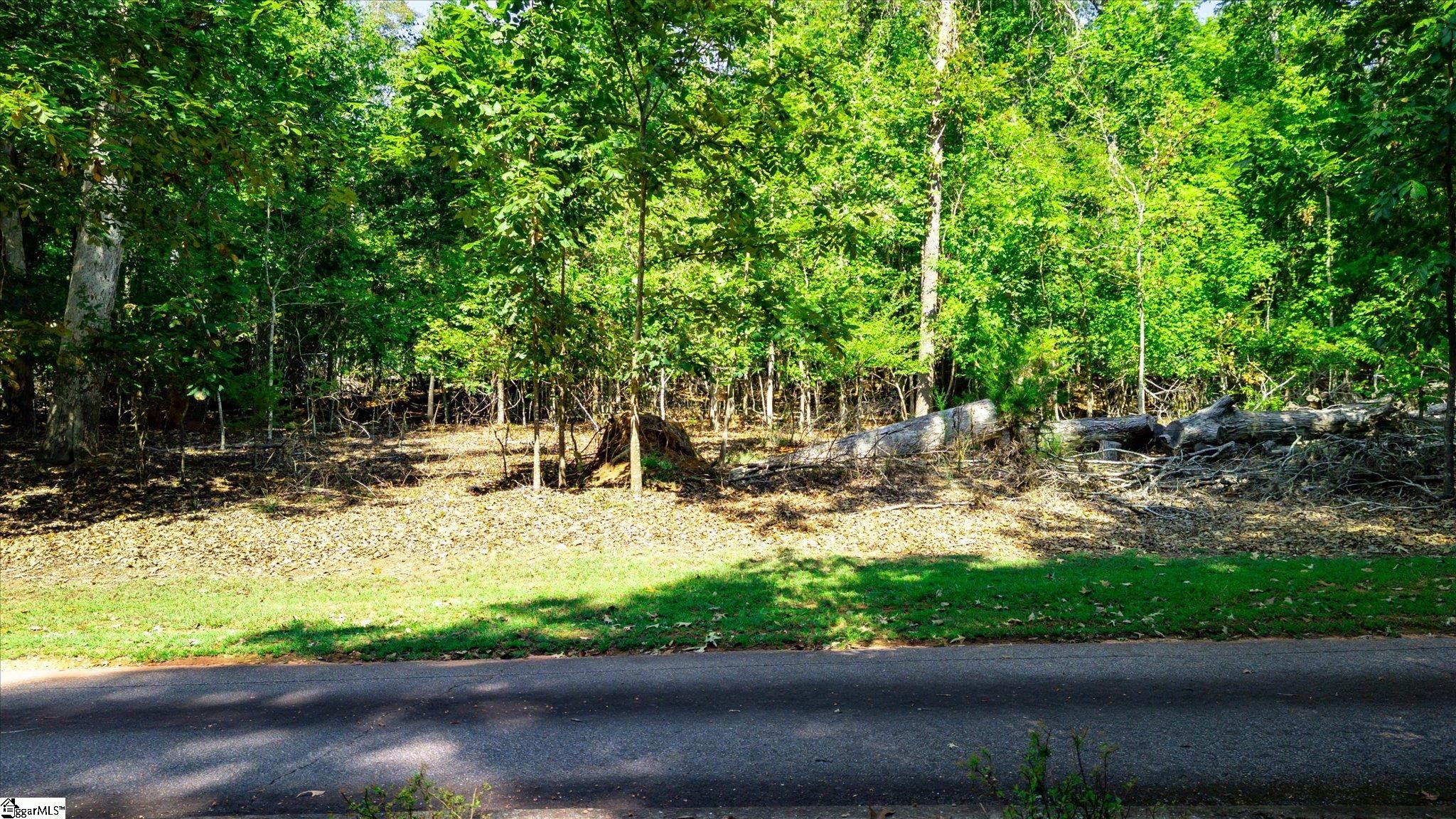 Tbd Pintail Road Property Photo 4