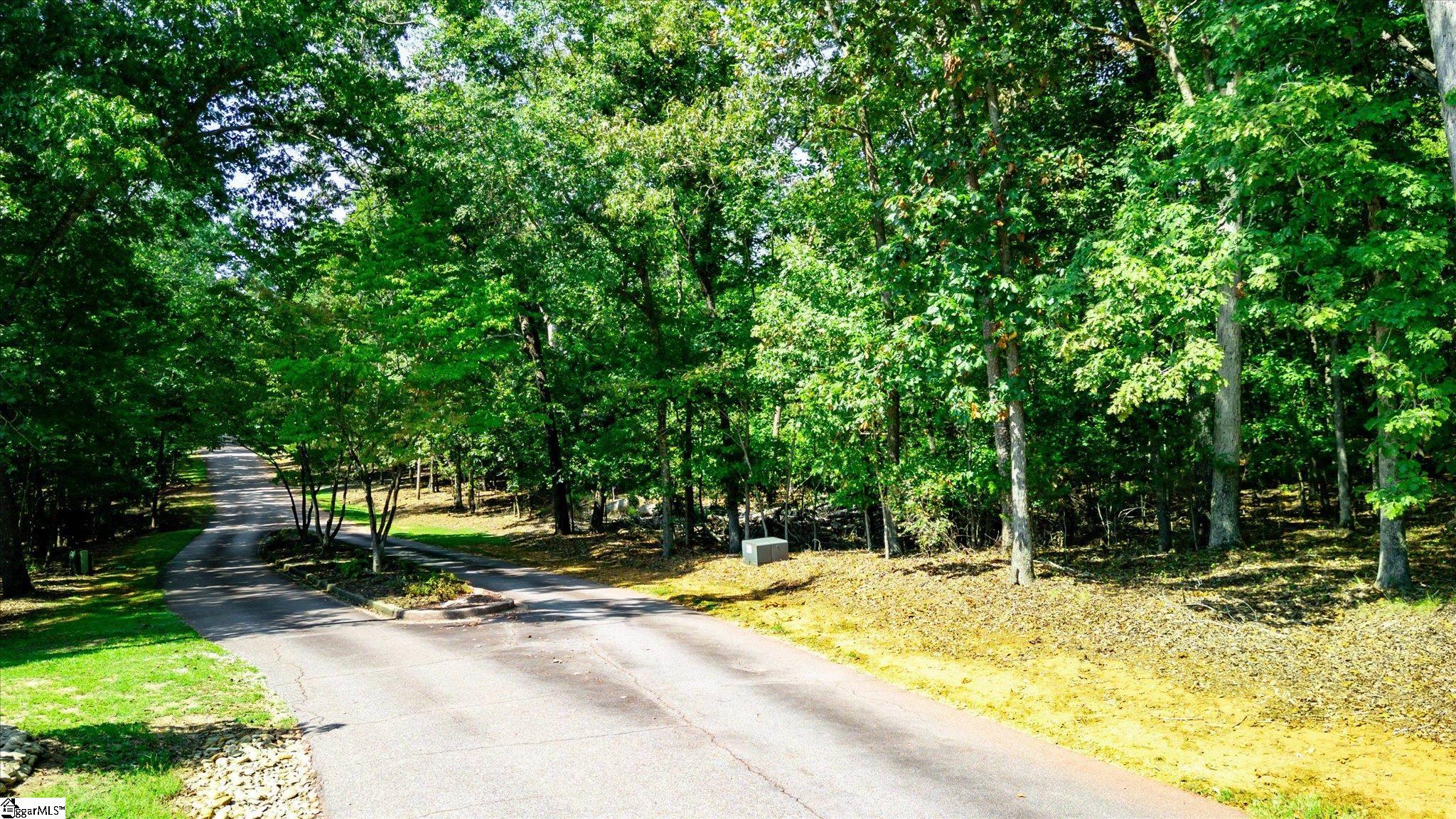 Tbd Pintail Road Property Photo 5