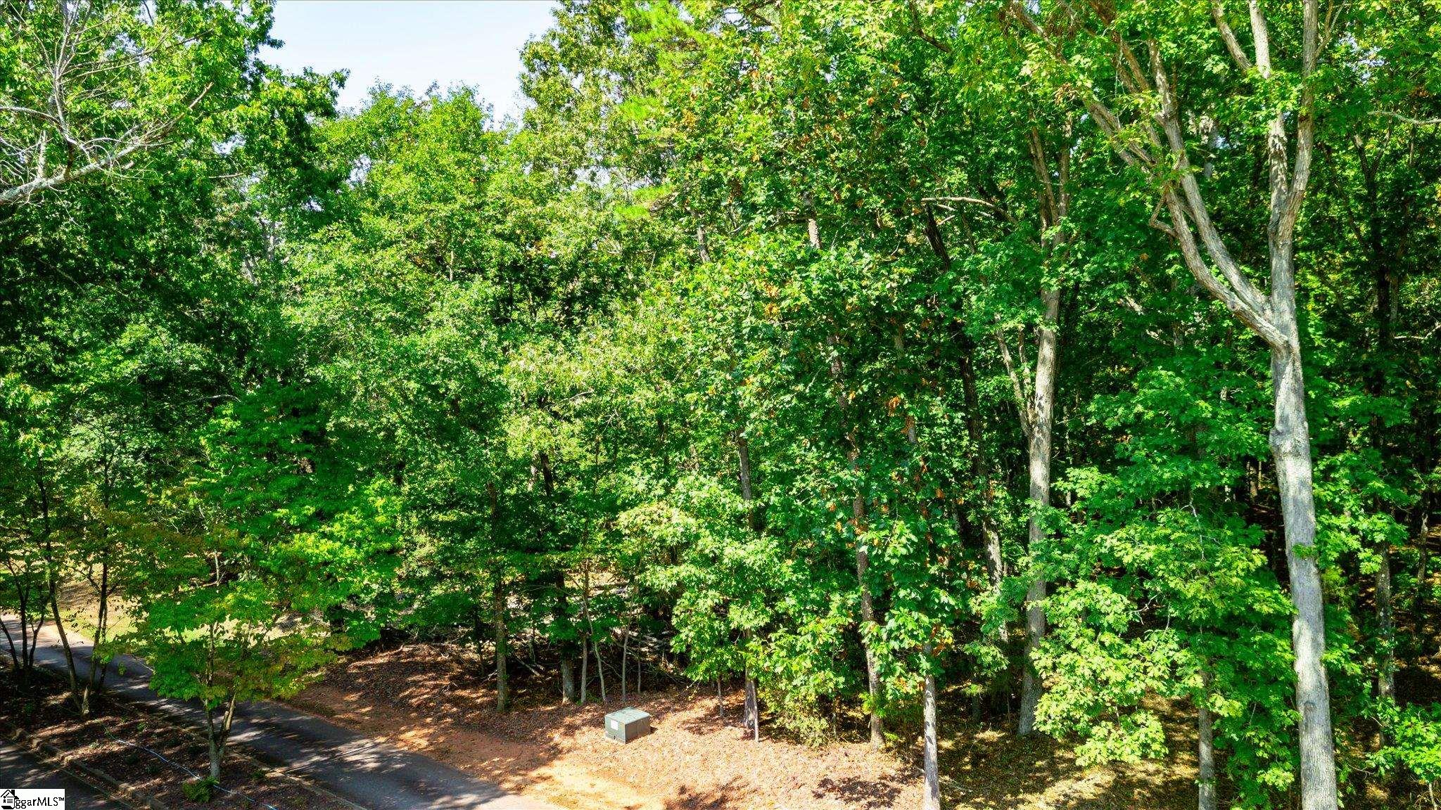 Tbd Pintail Road Property Photo 9