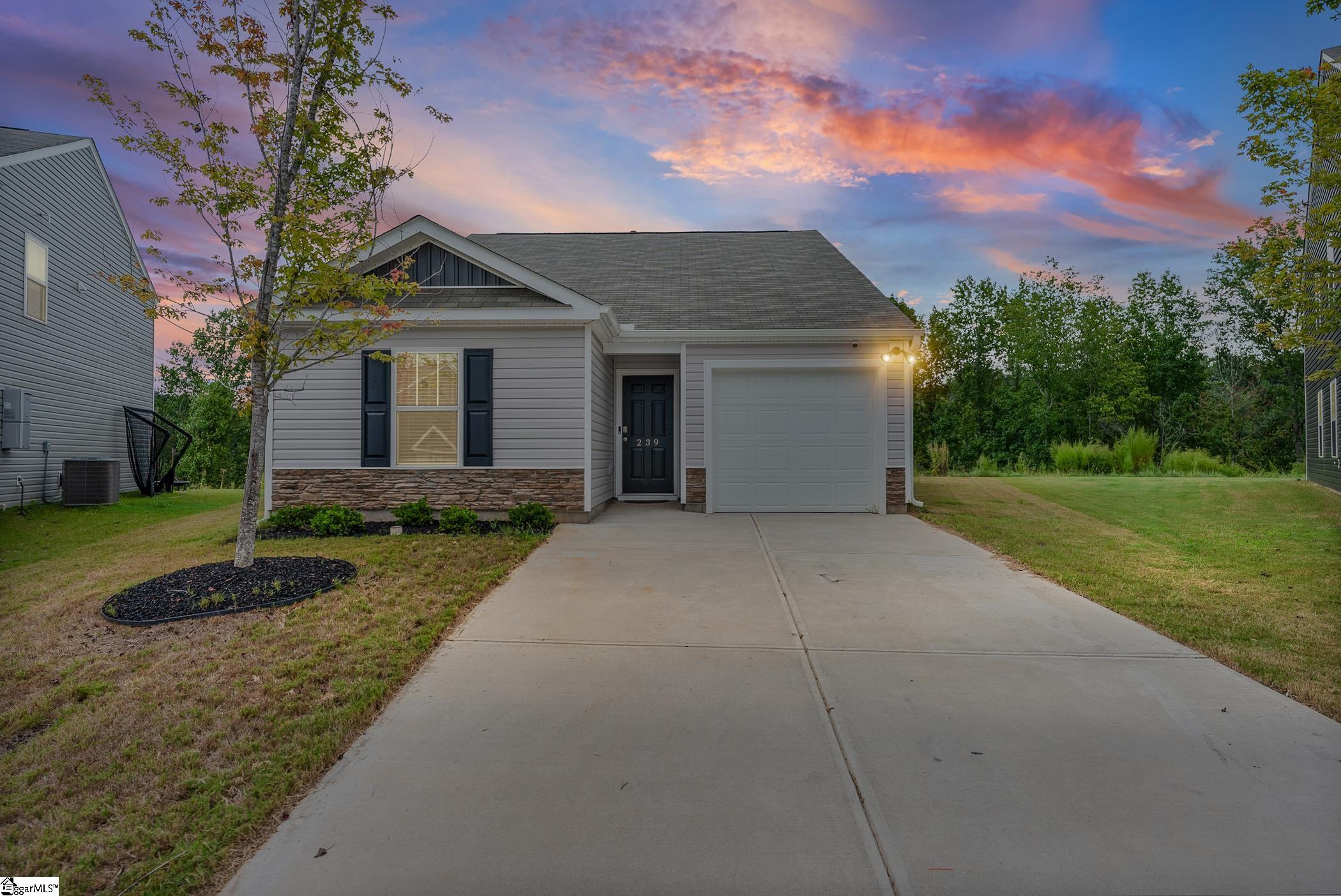 239 Mable Leaf Lane Property Photo 1