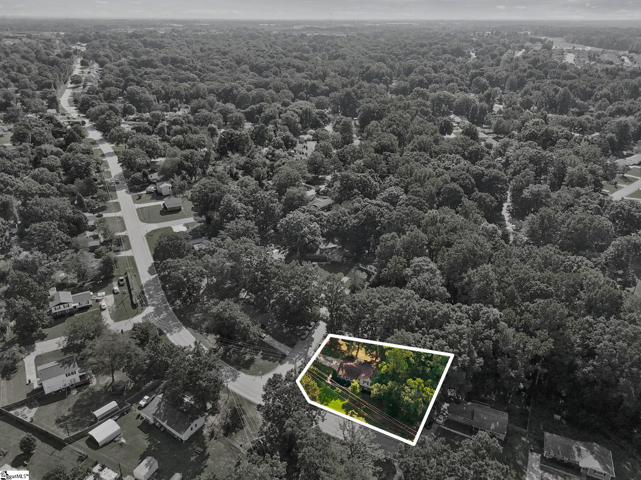 102 Branchview Court Property Photo 39