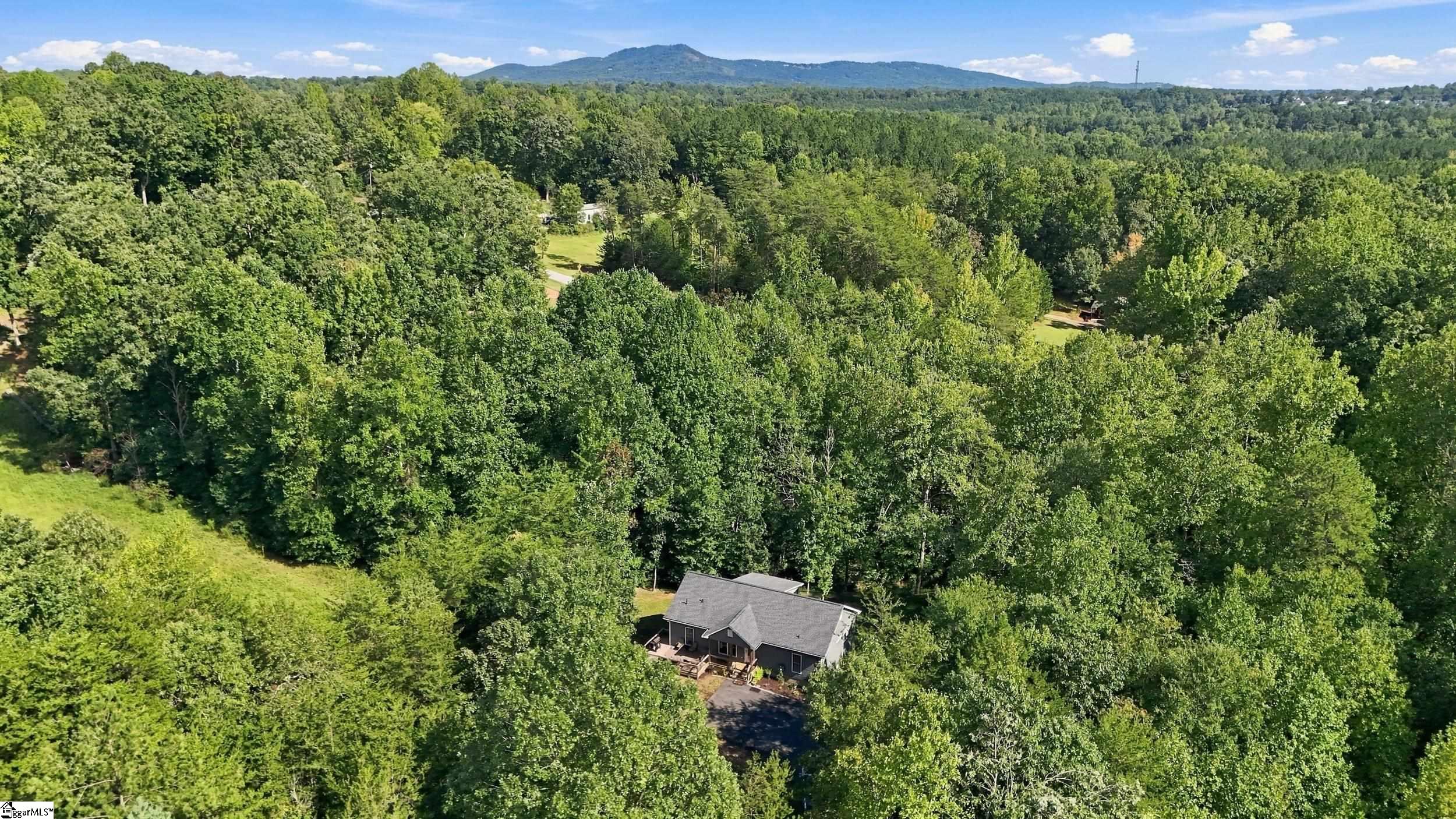 105 Forestville Road Property Photo 34
