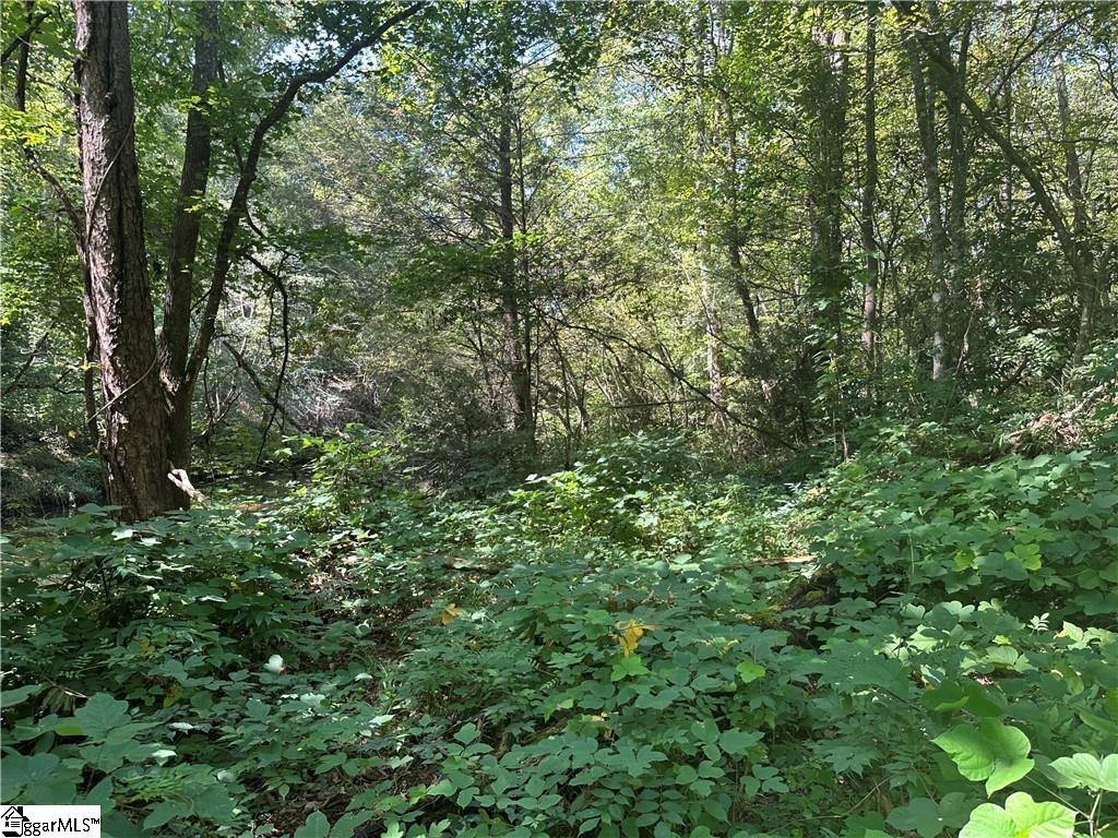 3 Table Rock Road Property Photo 8