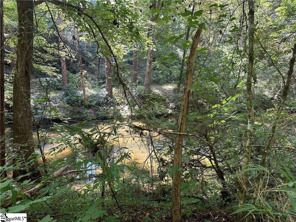 3 Table Rock Road Property Photo 20