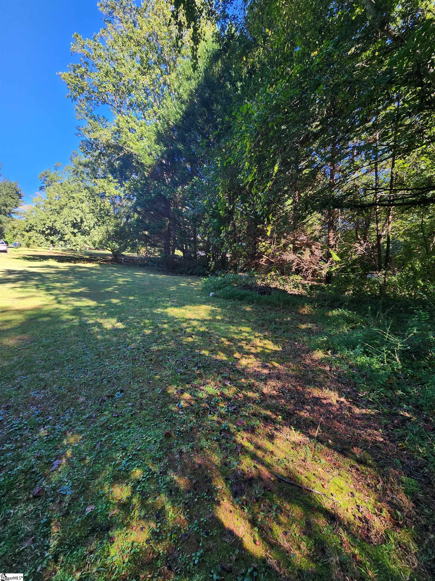 0 Henry Street Property Photo 5