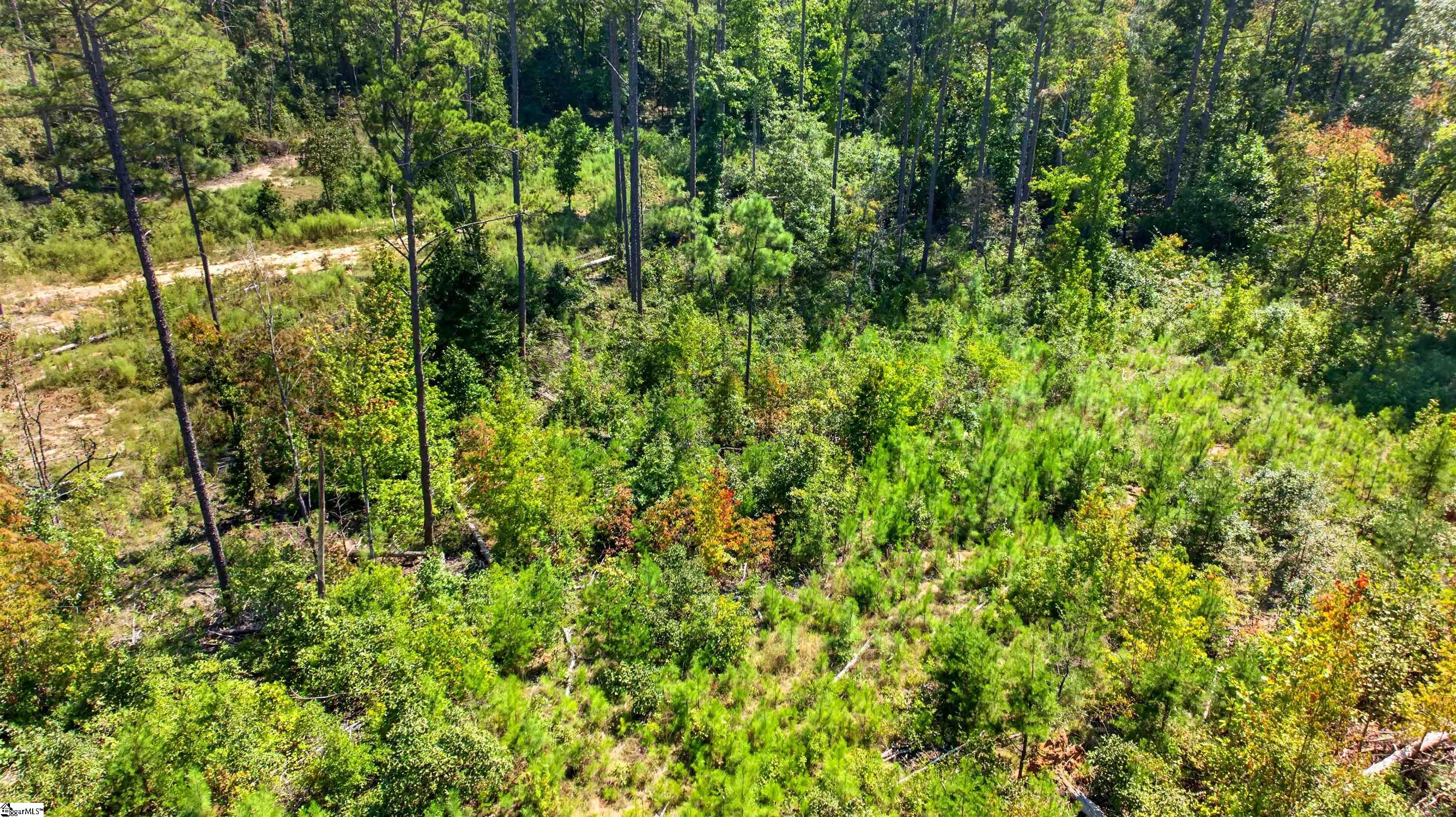 Lot 6 Coffee Road Property Photo 4