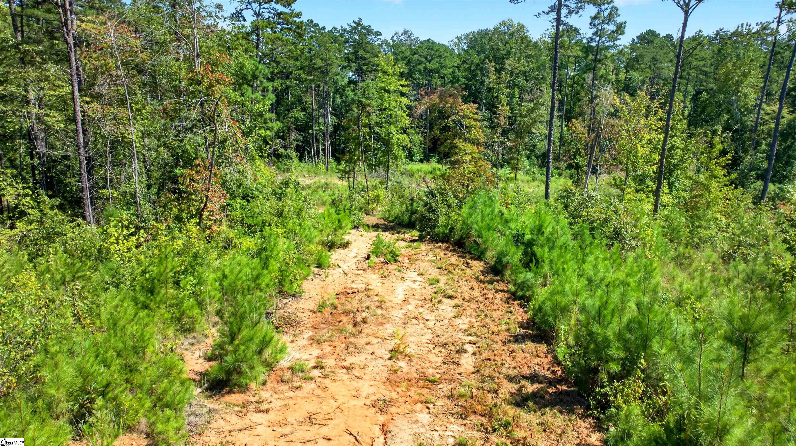 Lot 6 Coffee Road Property Photo 9