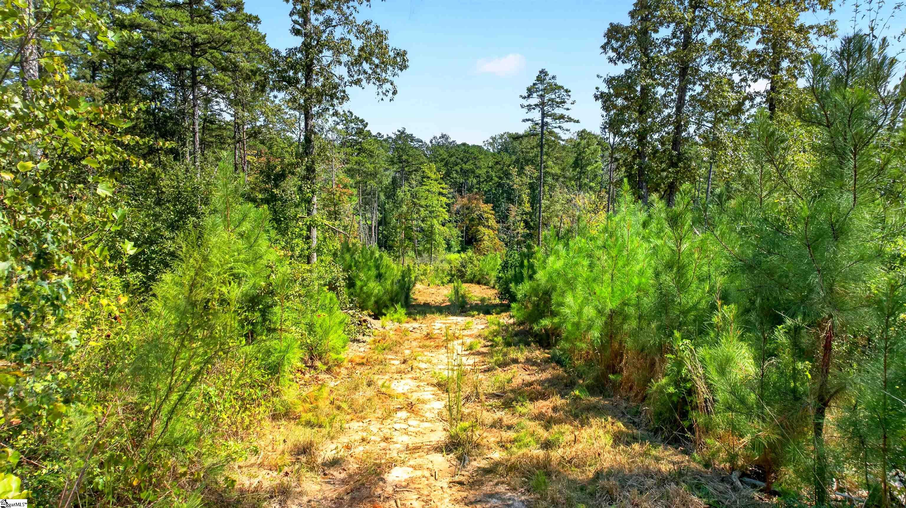 Lot 6 Coffee Road Property Photo 17