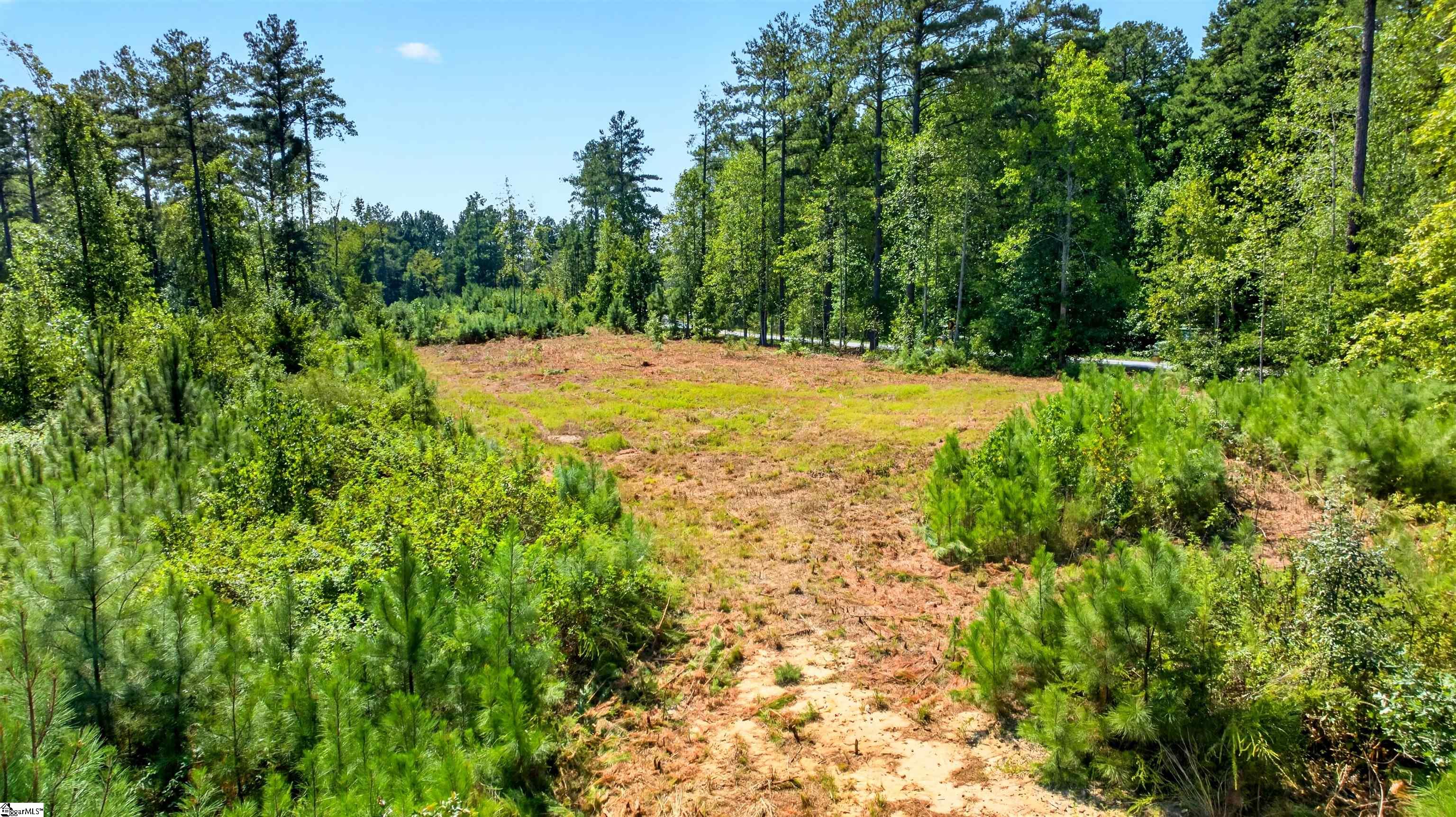 Lot 6 Coffee Road Property Photo 20
