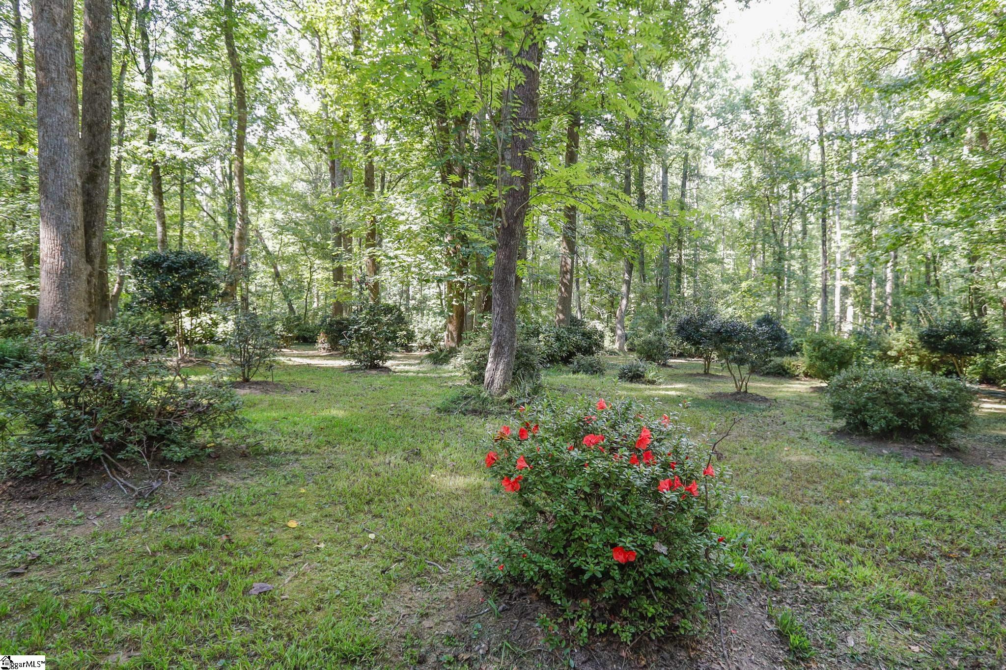 105 Old Forest Lane Property Photo 3