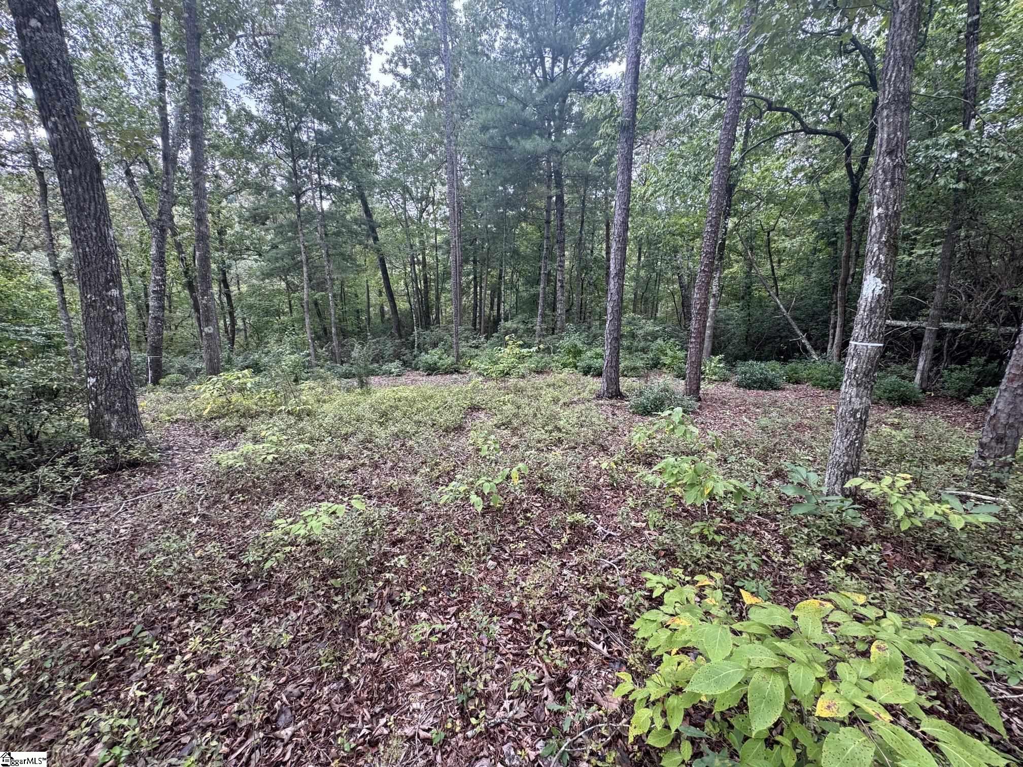 S46 Cliffs Falls Parkway Property Photo 1