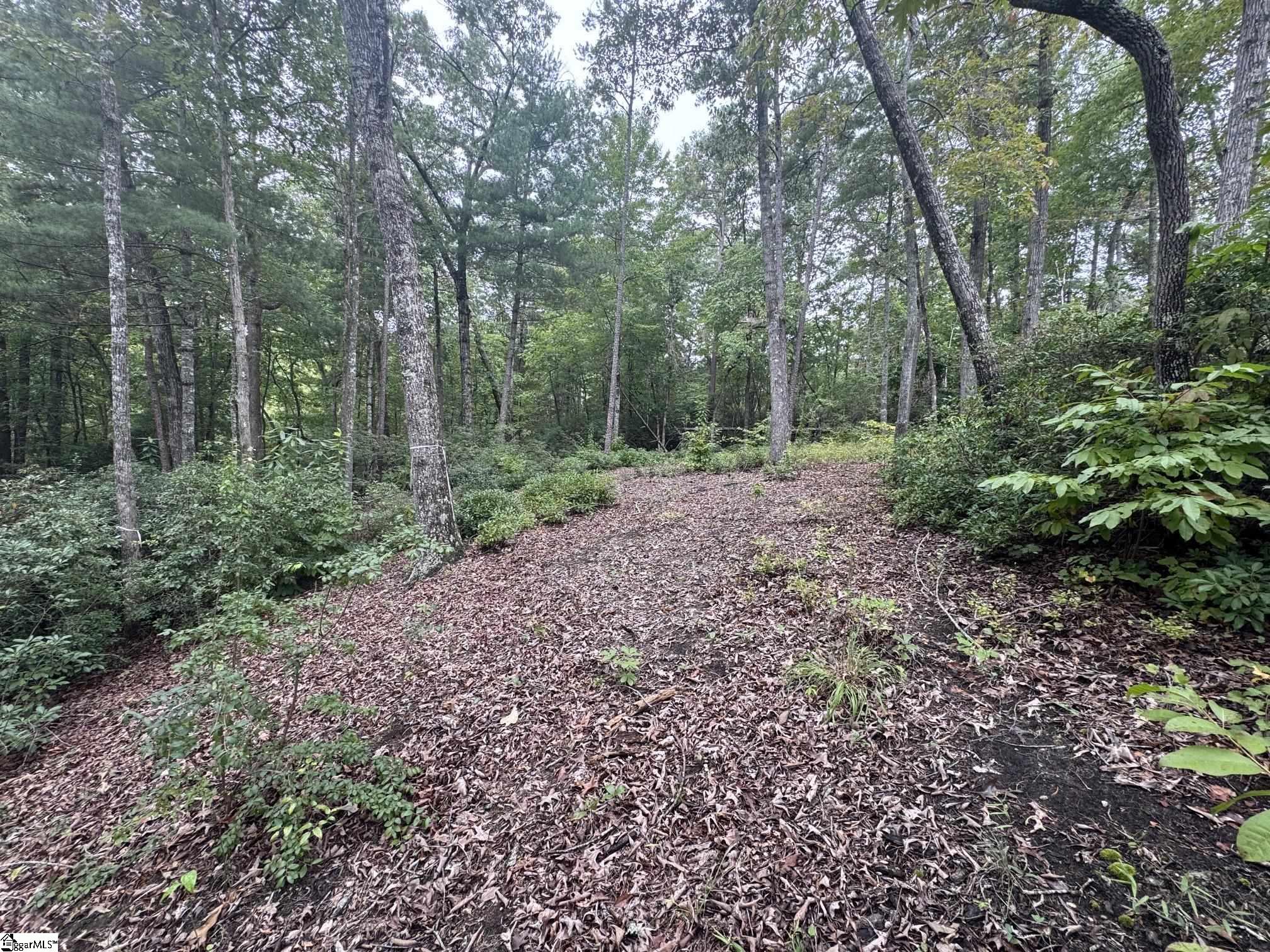 S46 Cliffs Falls Parkway Property Photo 2