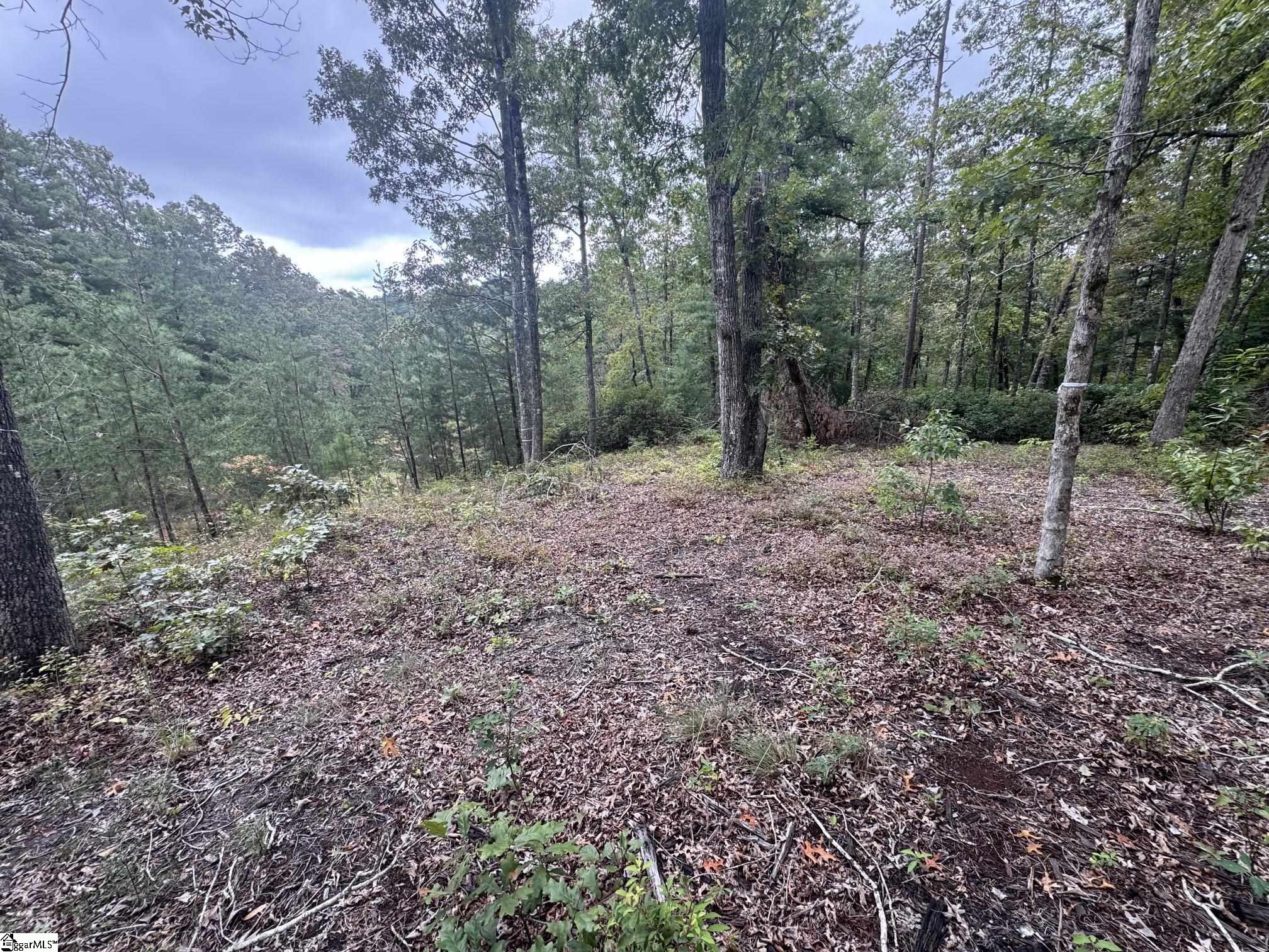 S46 Cliffs Falls Parkway Property Photo 3