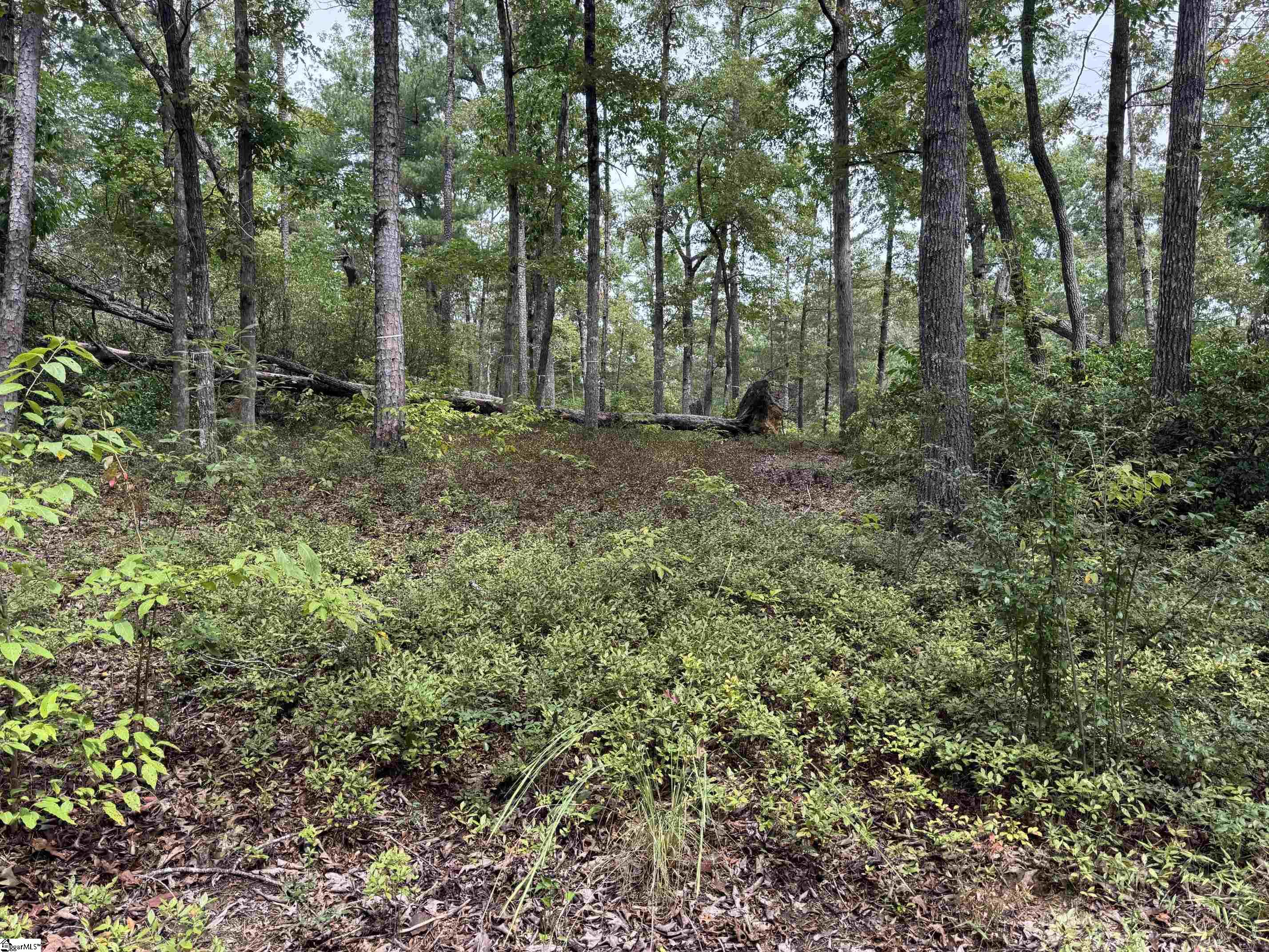 S46 Cliffs Falls Parkway Property Photo 4