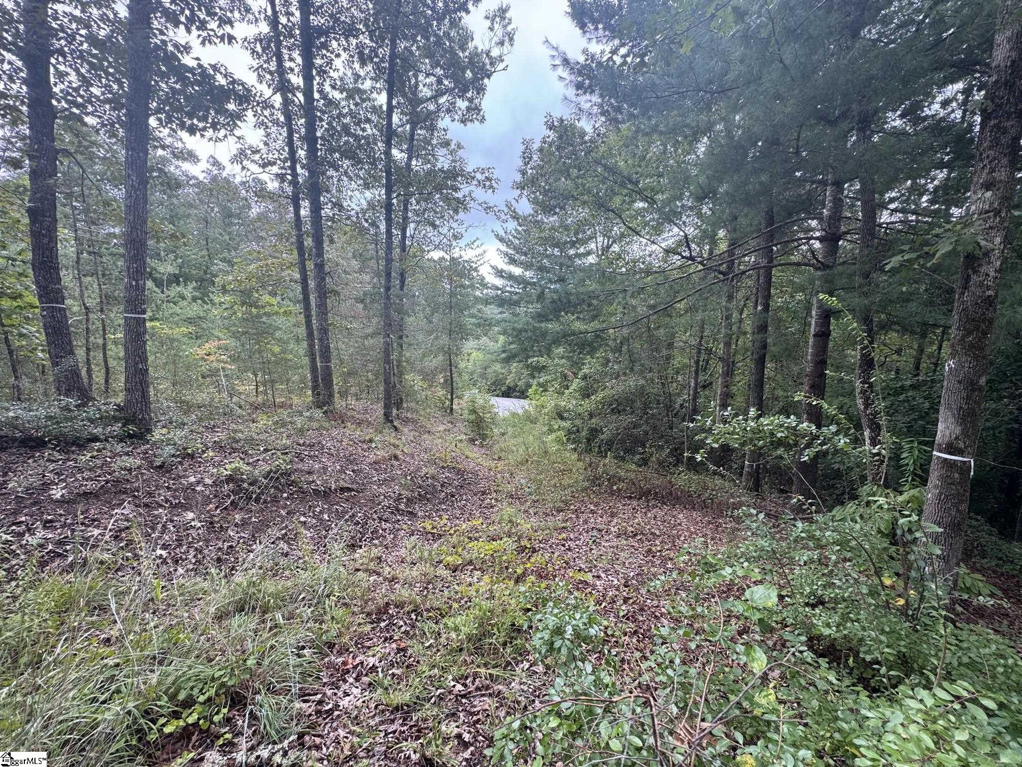 S46 Cliffs Falls Parkway Property Photo 5