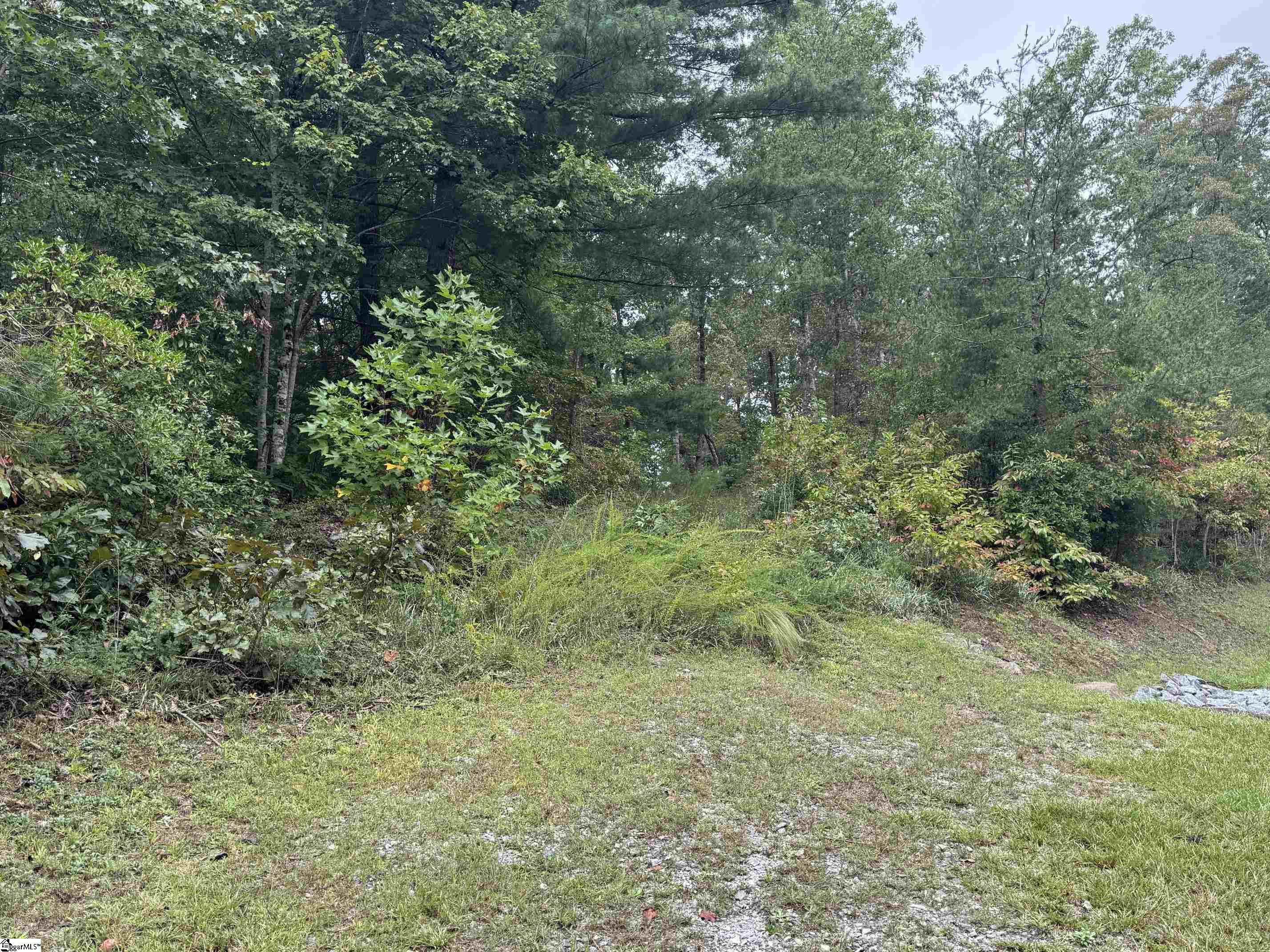 S46 Cliffs Falls Parkway Property Photo 6