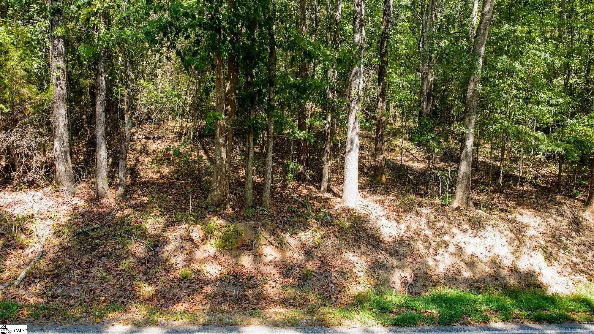 Lot 17 Whiten Road Property Photo 1