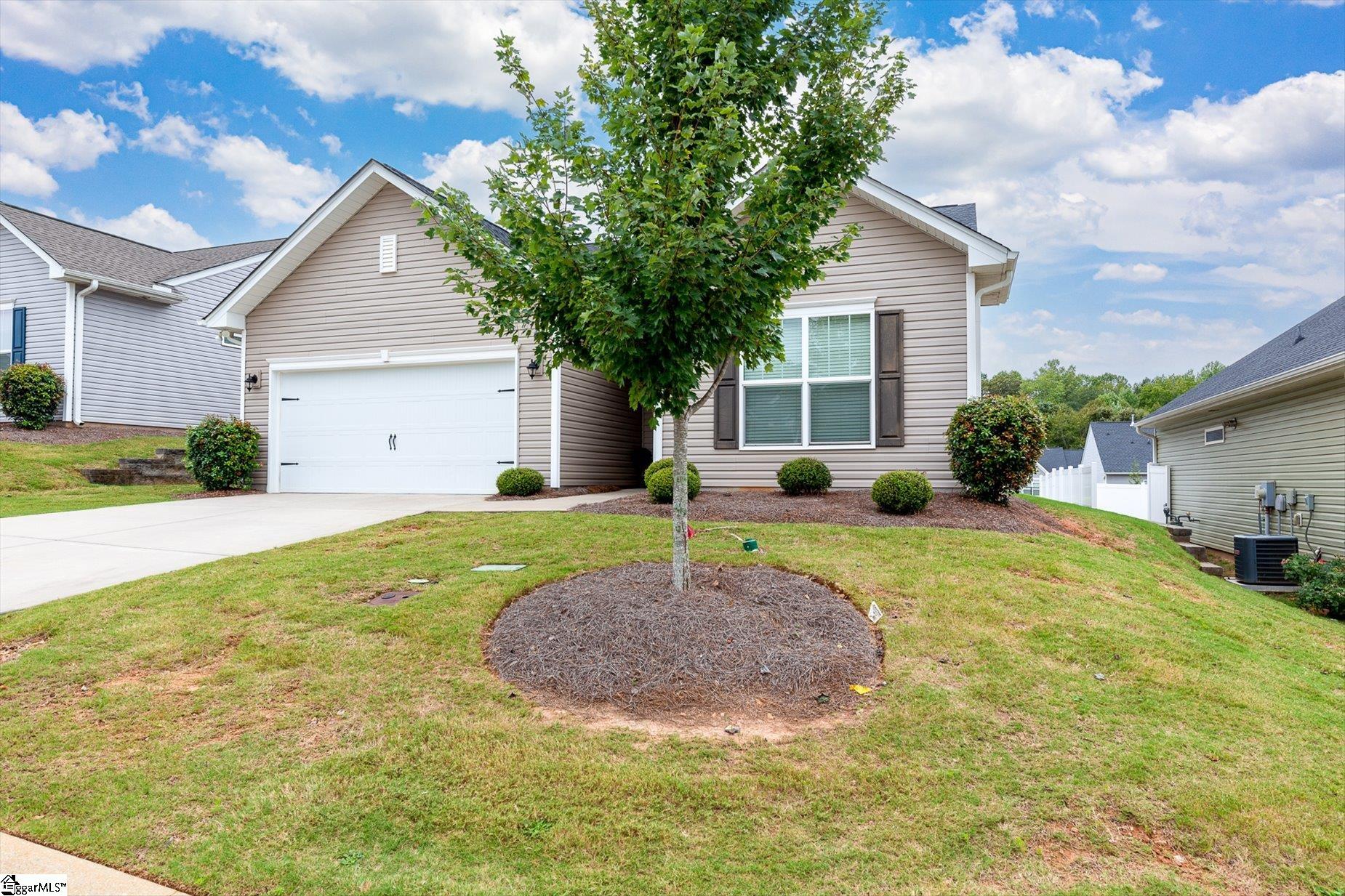 452 White Peach Way Property Photo 27