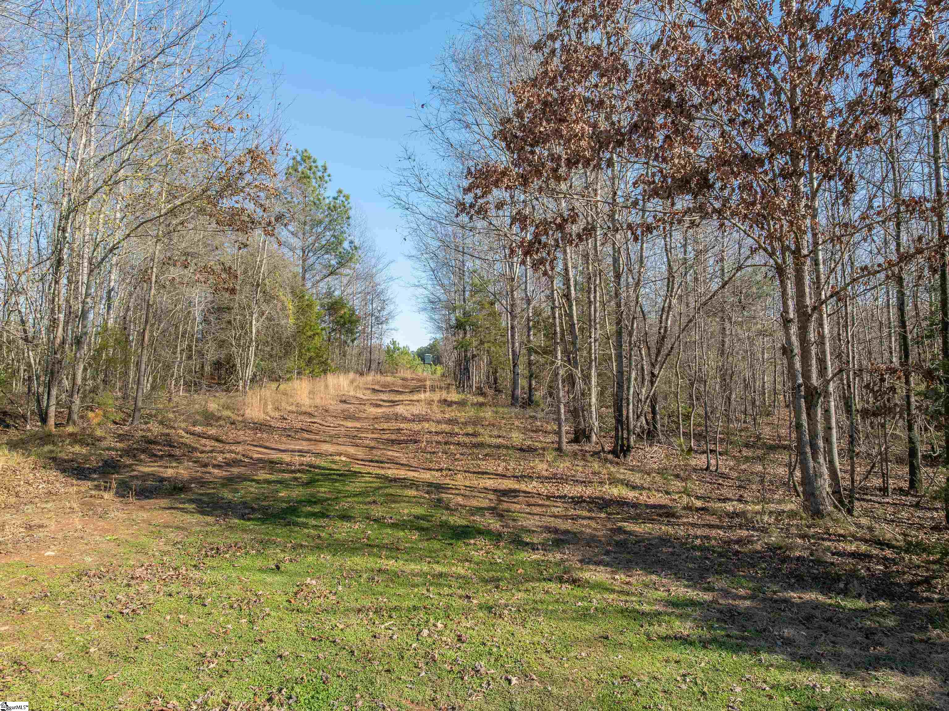 Mill Pine Road Property Photo 4