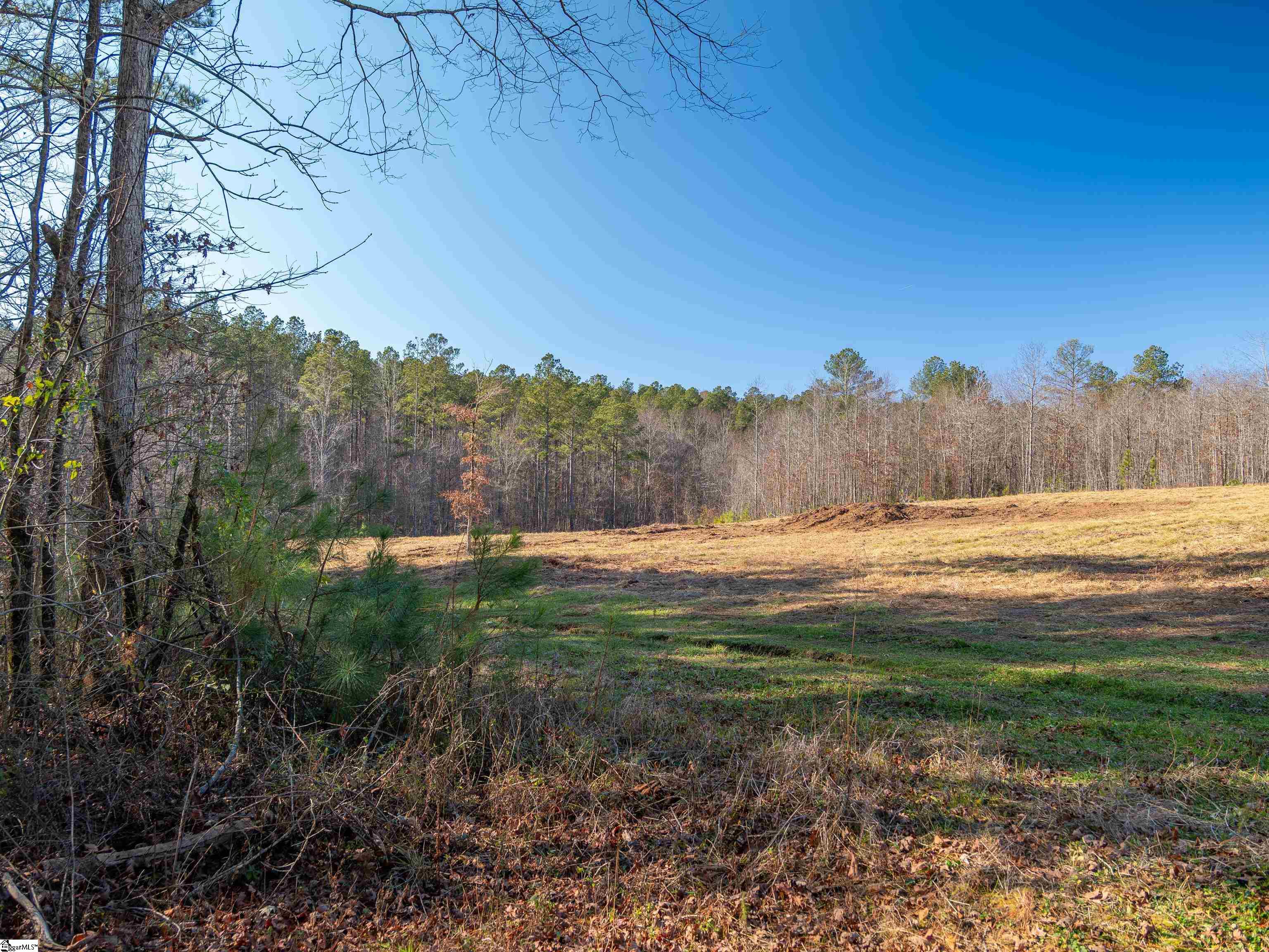 Mill Pine Road Property Photo 10