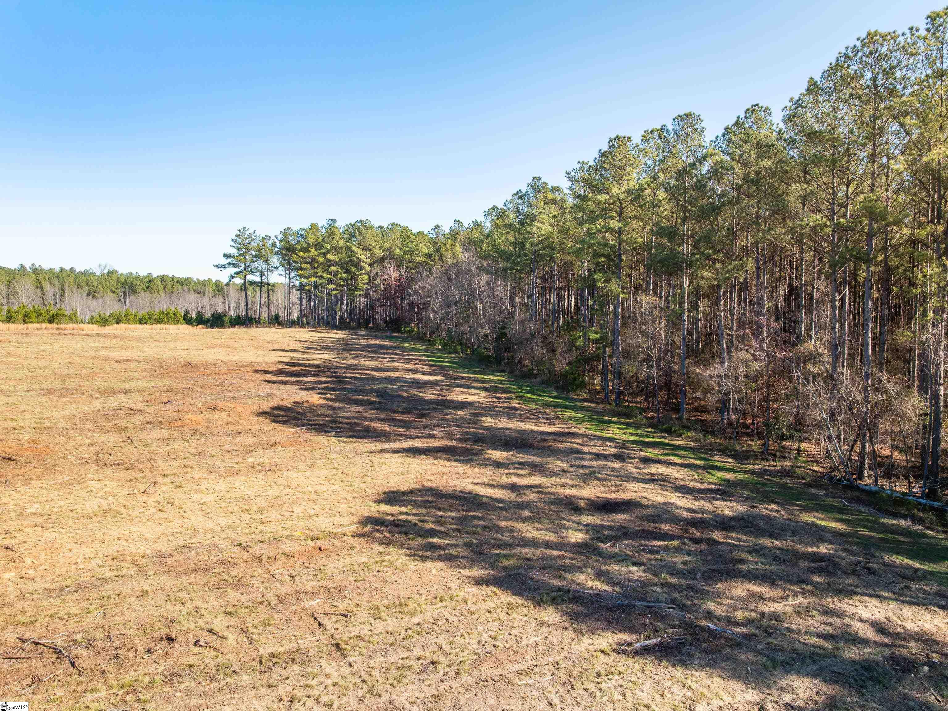 Mill Pine Road Property Photo 18