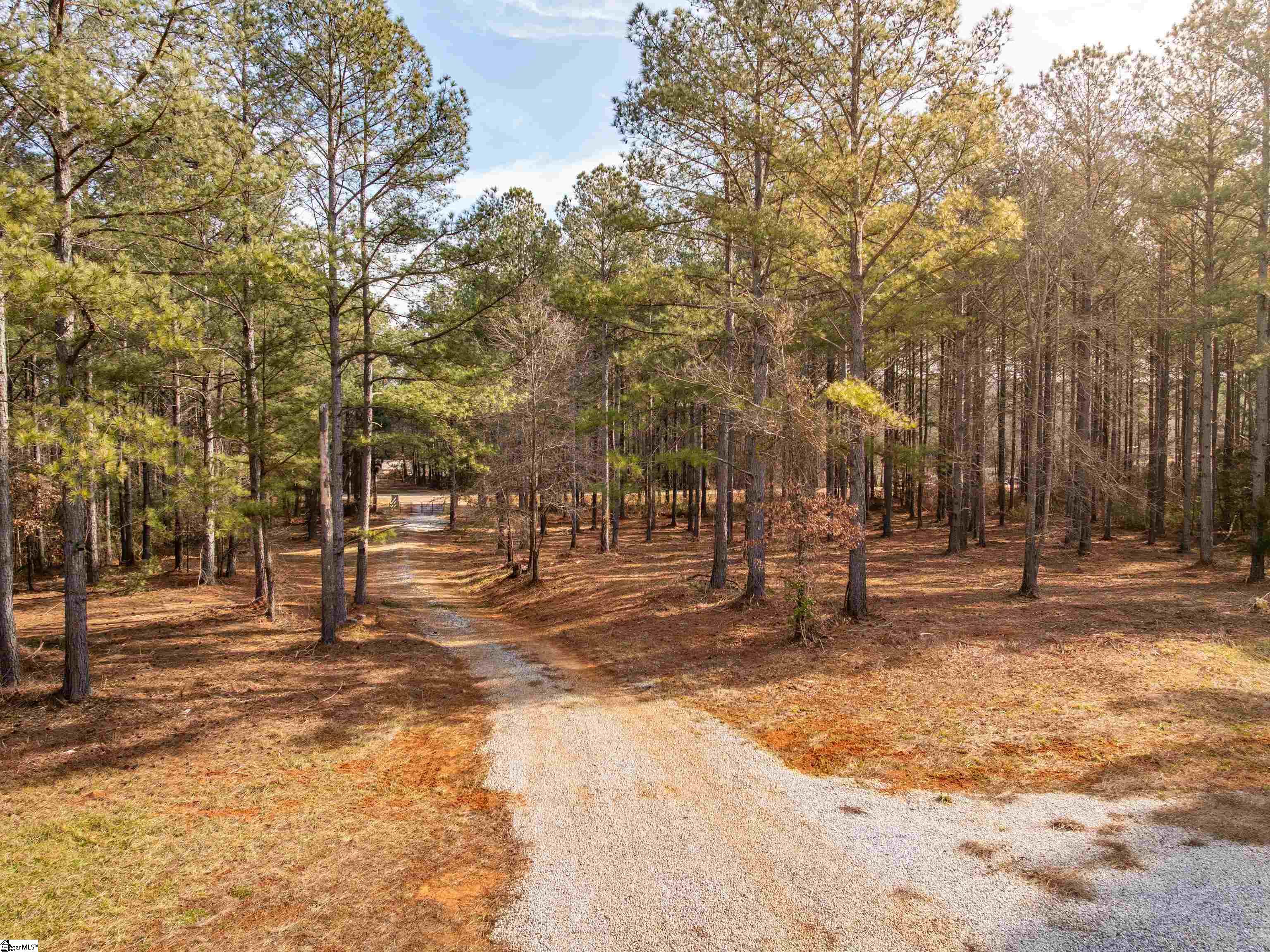 Mill Pine Road Property Photo 28