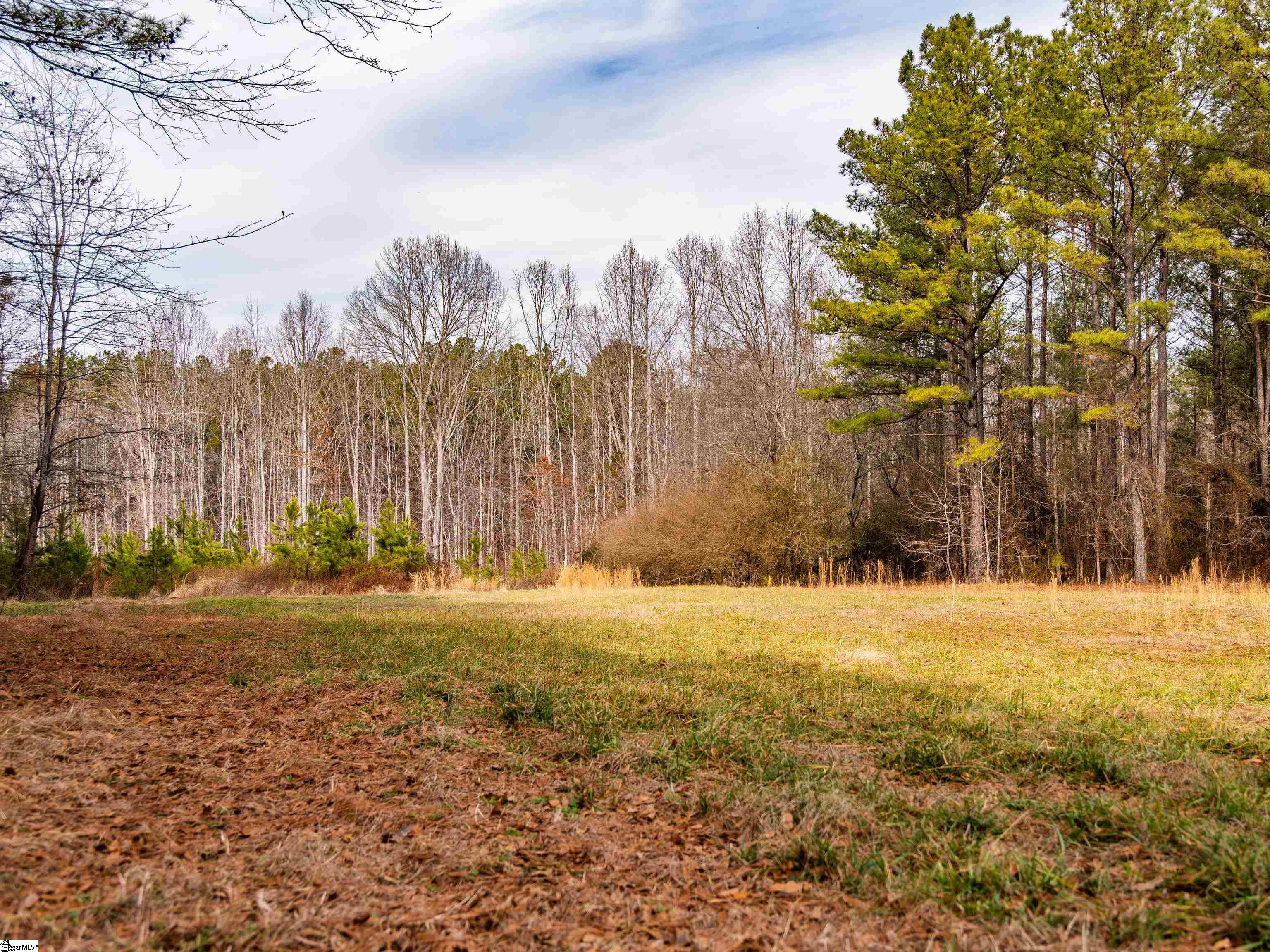 Mill Pine Road Property Photo 33