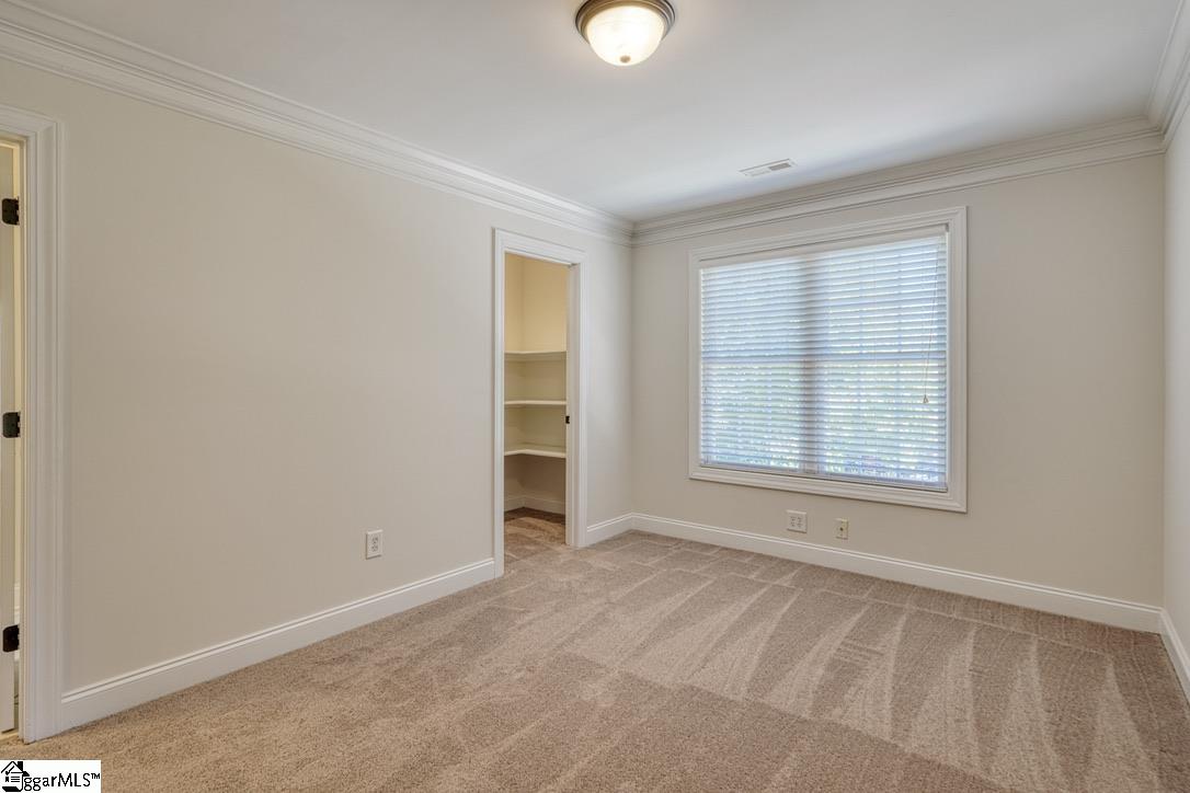 507 Carrickmore Court Property Photo 24