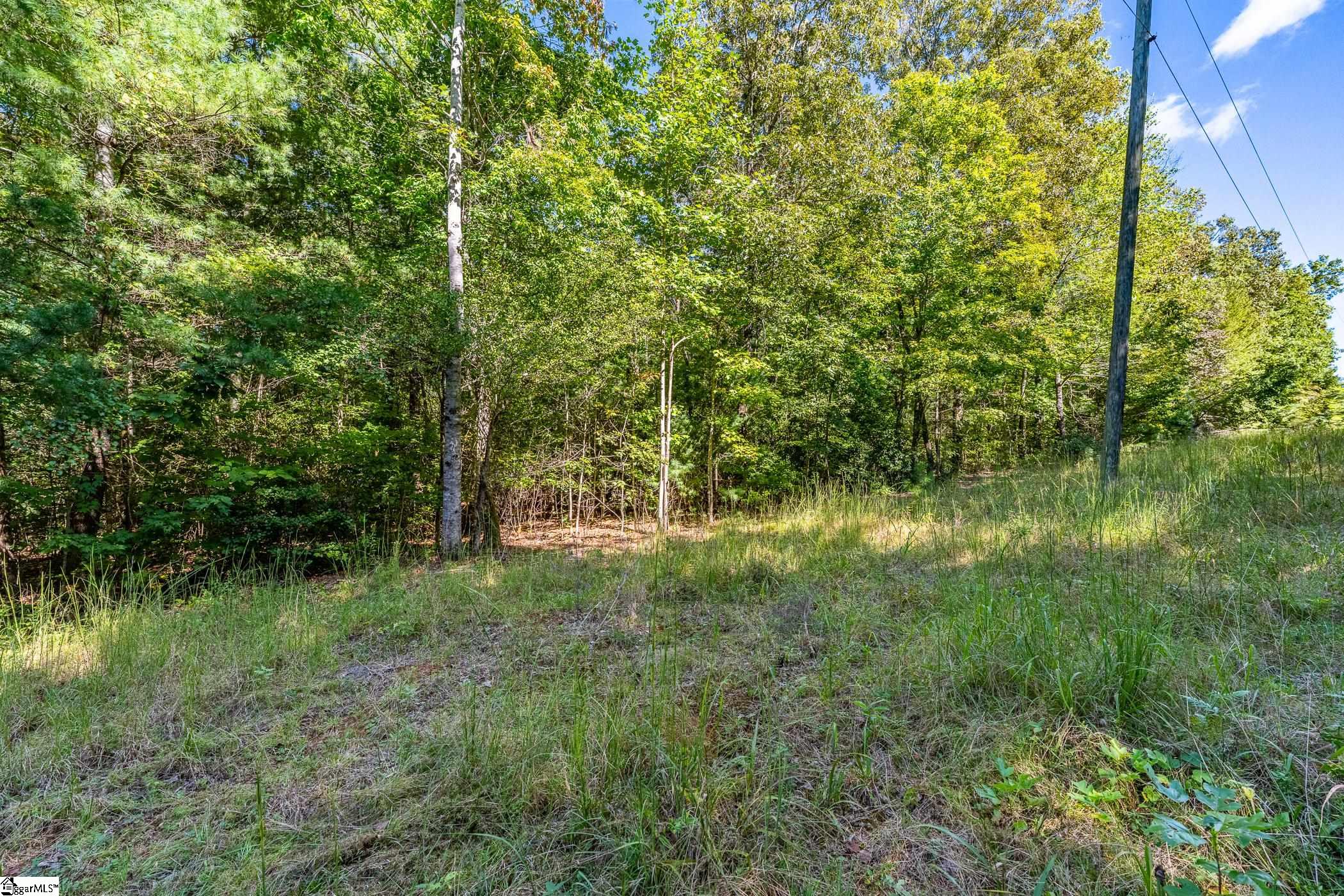0 Singing Oaks Property Photo 1
