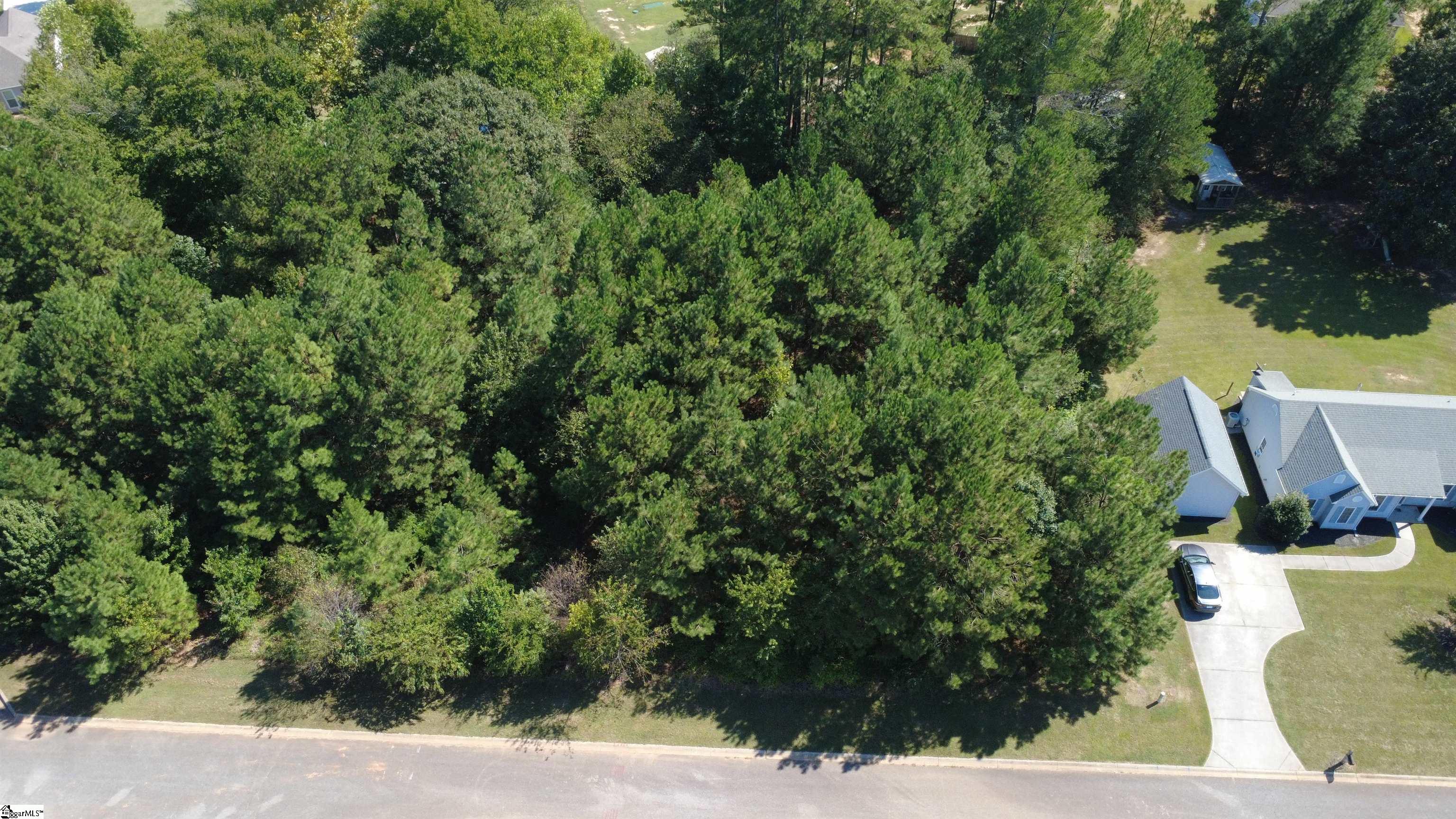 208 Carrageen Drive Property Photo 2