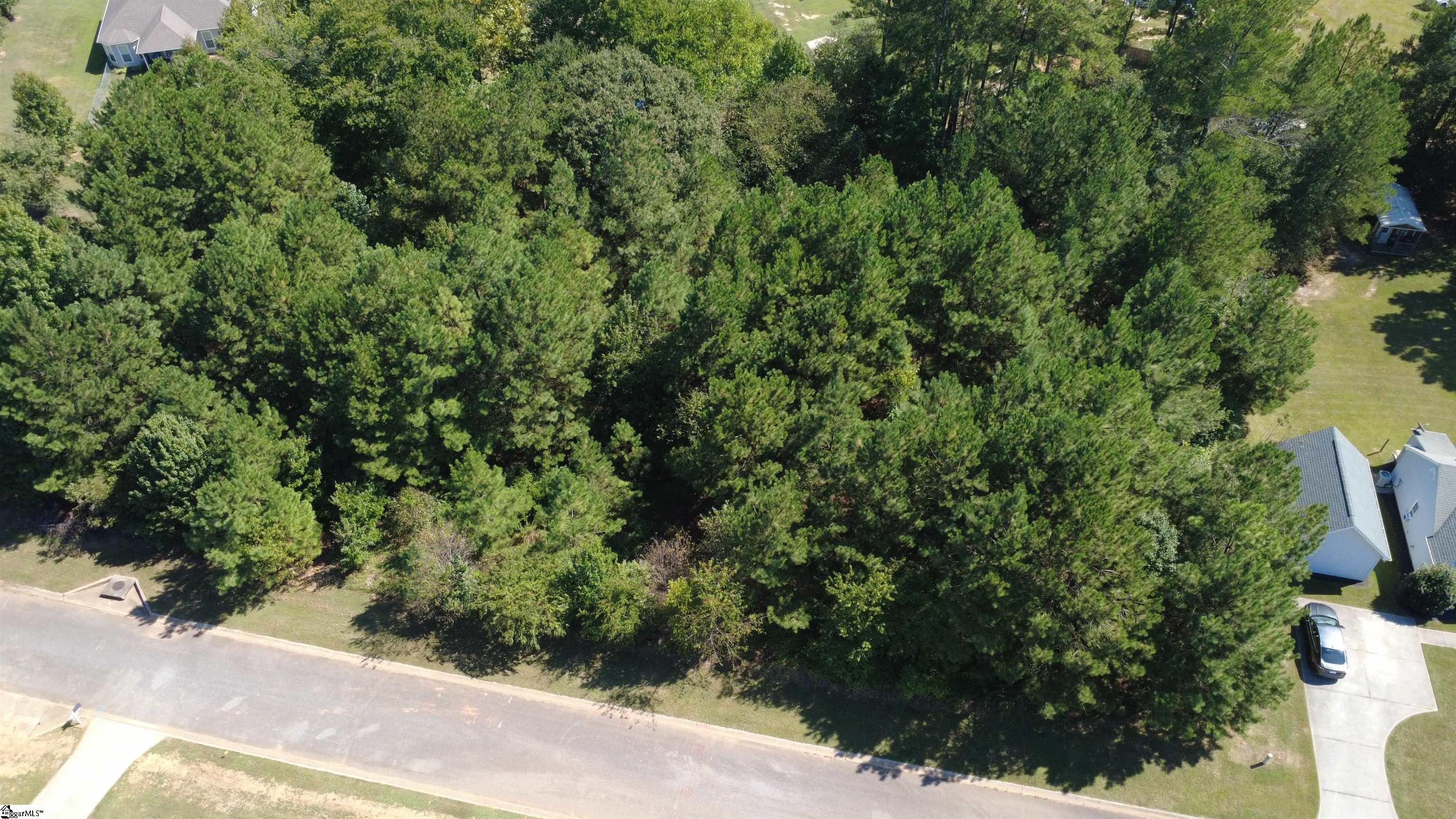 208 Carrageen Drive Property Photo 3