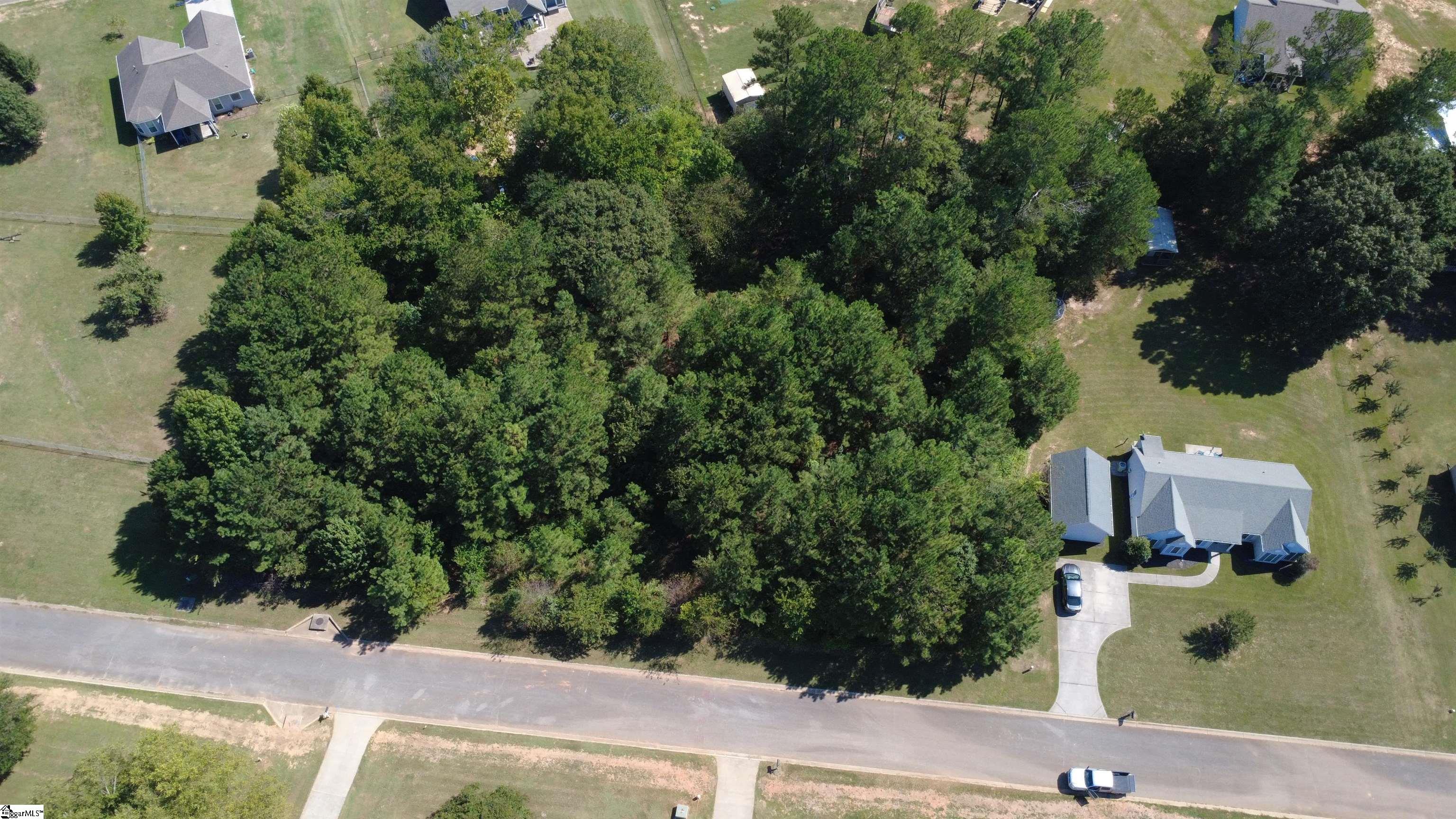 208 Carrageen Drive Property Photo 4