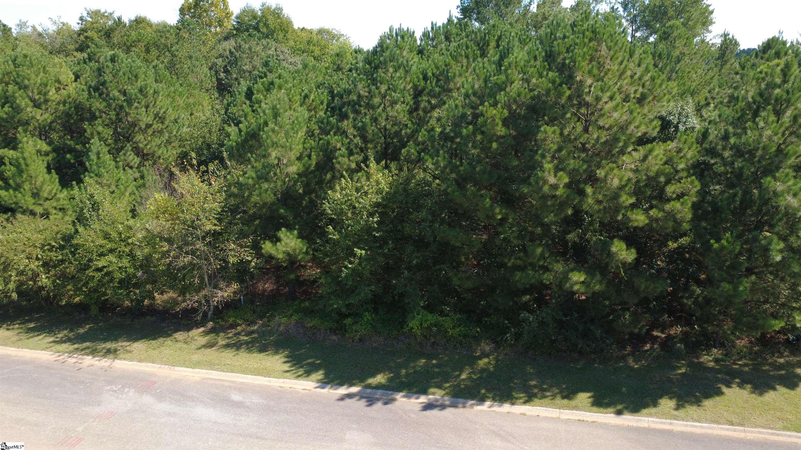 208 Carrageen Drive Property Photo 6